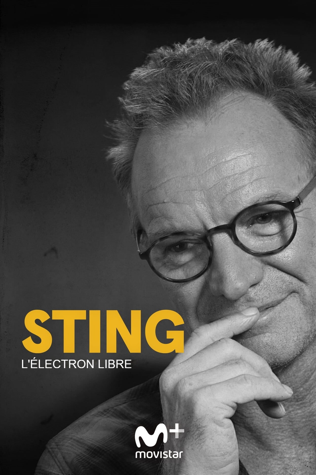 Pôster de Sting: A Free Man
