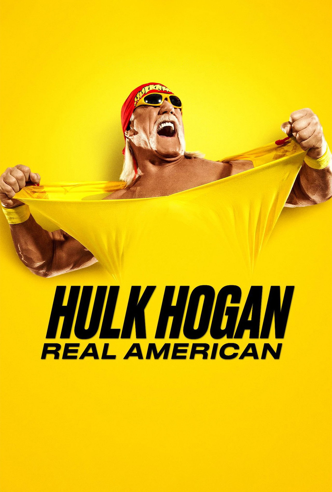 Pôster de Hulk Hogan: O Lutador