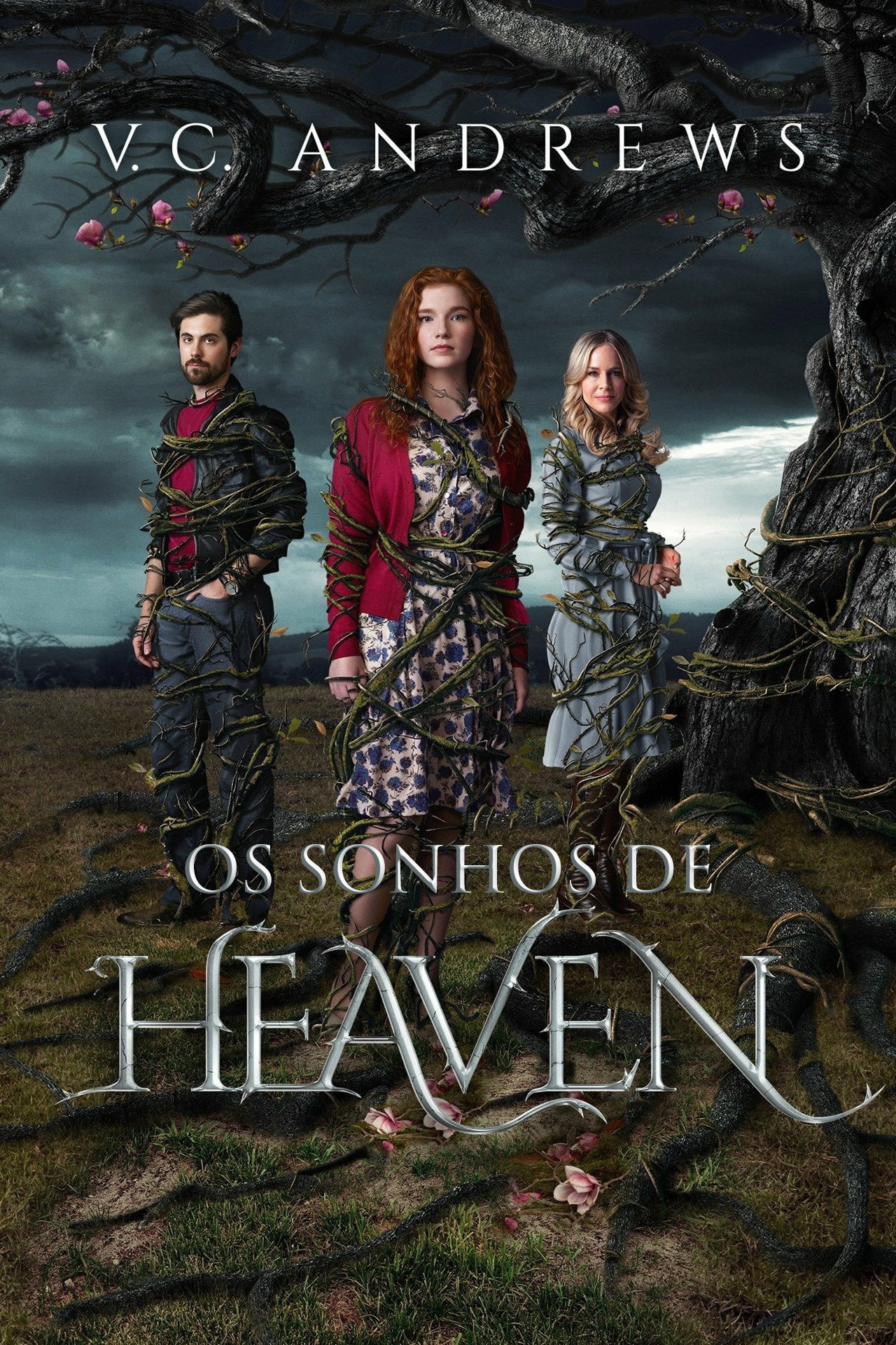 Pôster de Os Sonhos de Heaven