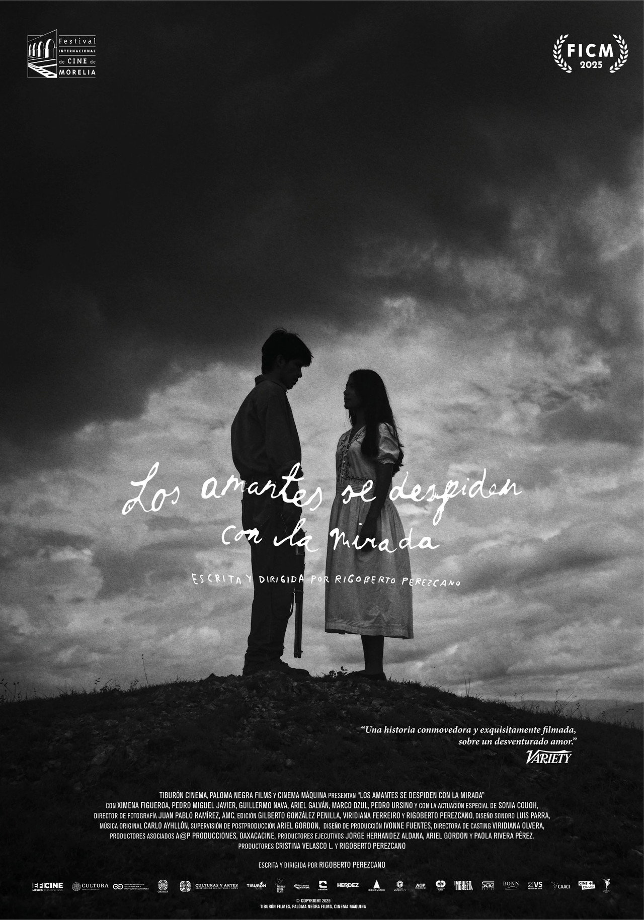 Pôster de Lovers bid farewell with a glance