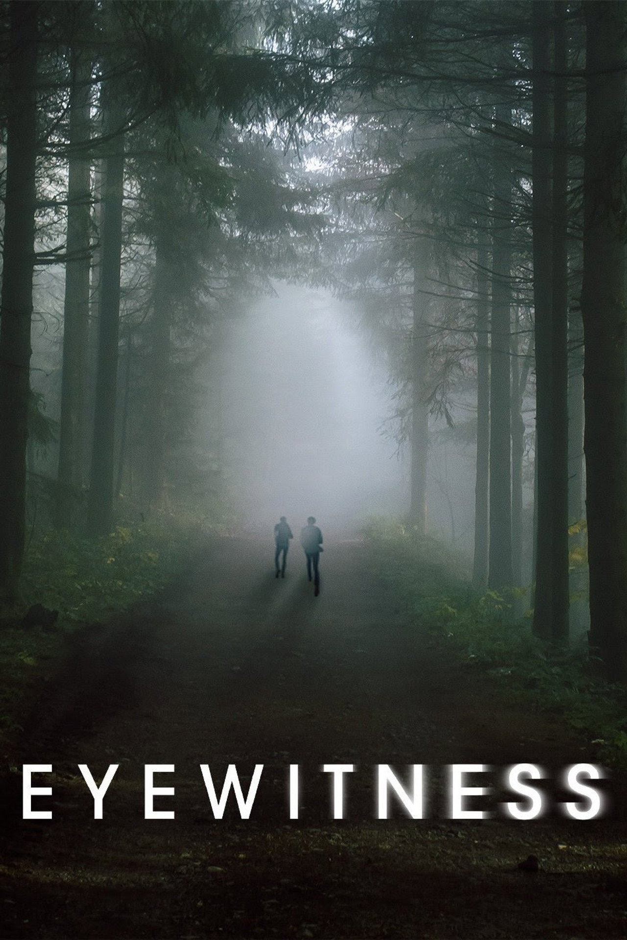 Pôster de Eyewitness
