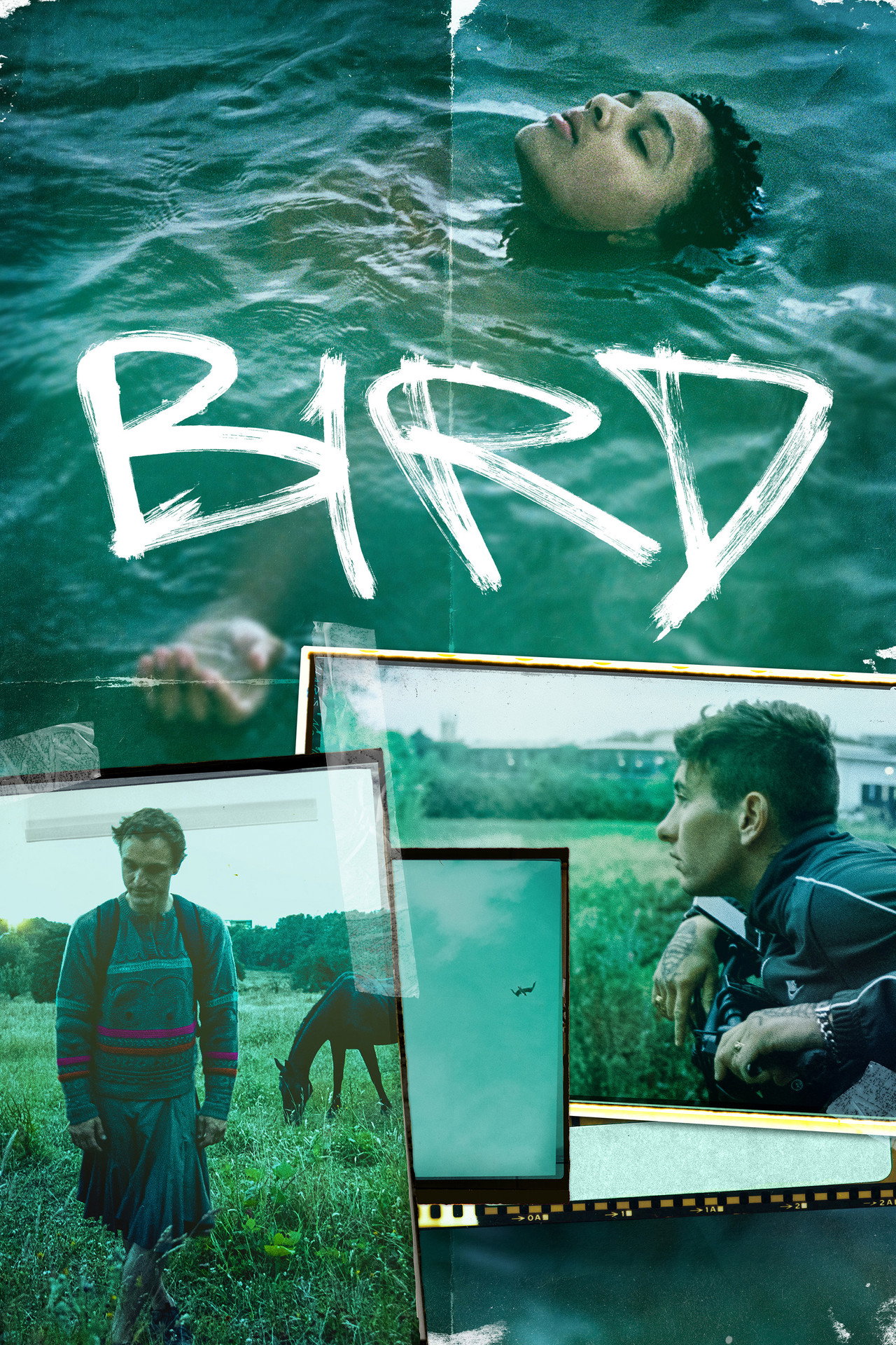 Pôster de Bird