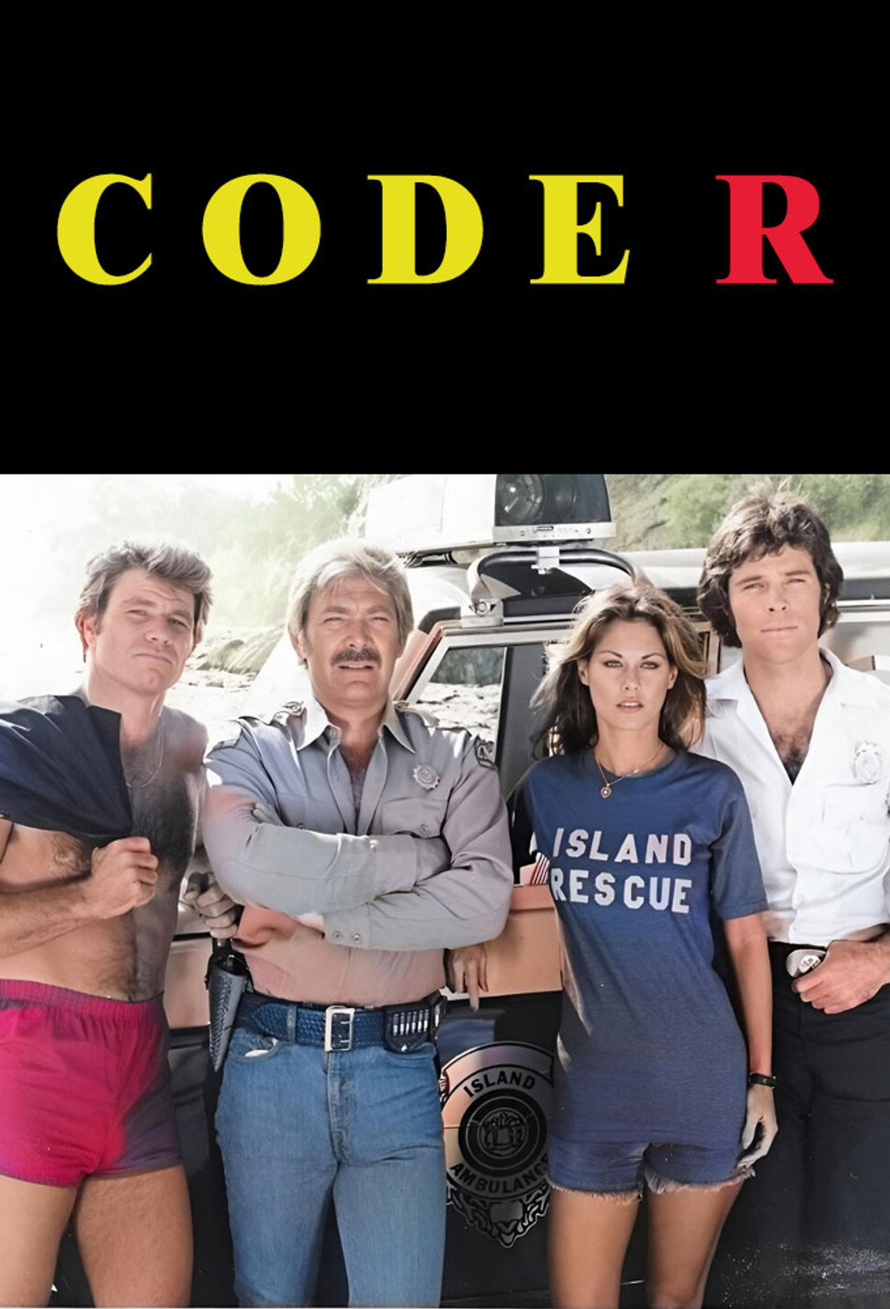 Pôster de Code R