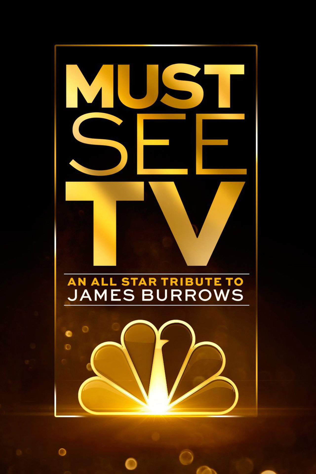 Pôster de Must See TV: An All Star Tribute to James Burrows