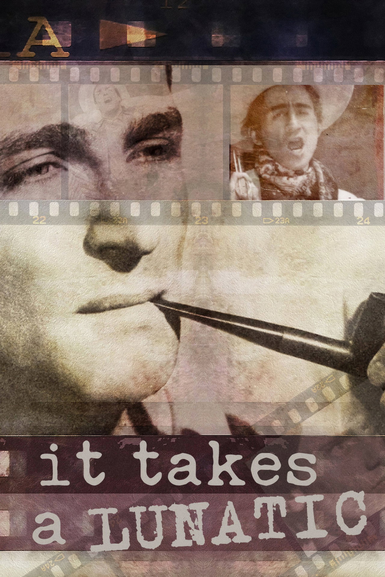 Pôster de O Legado de um Lunático