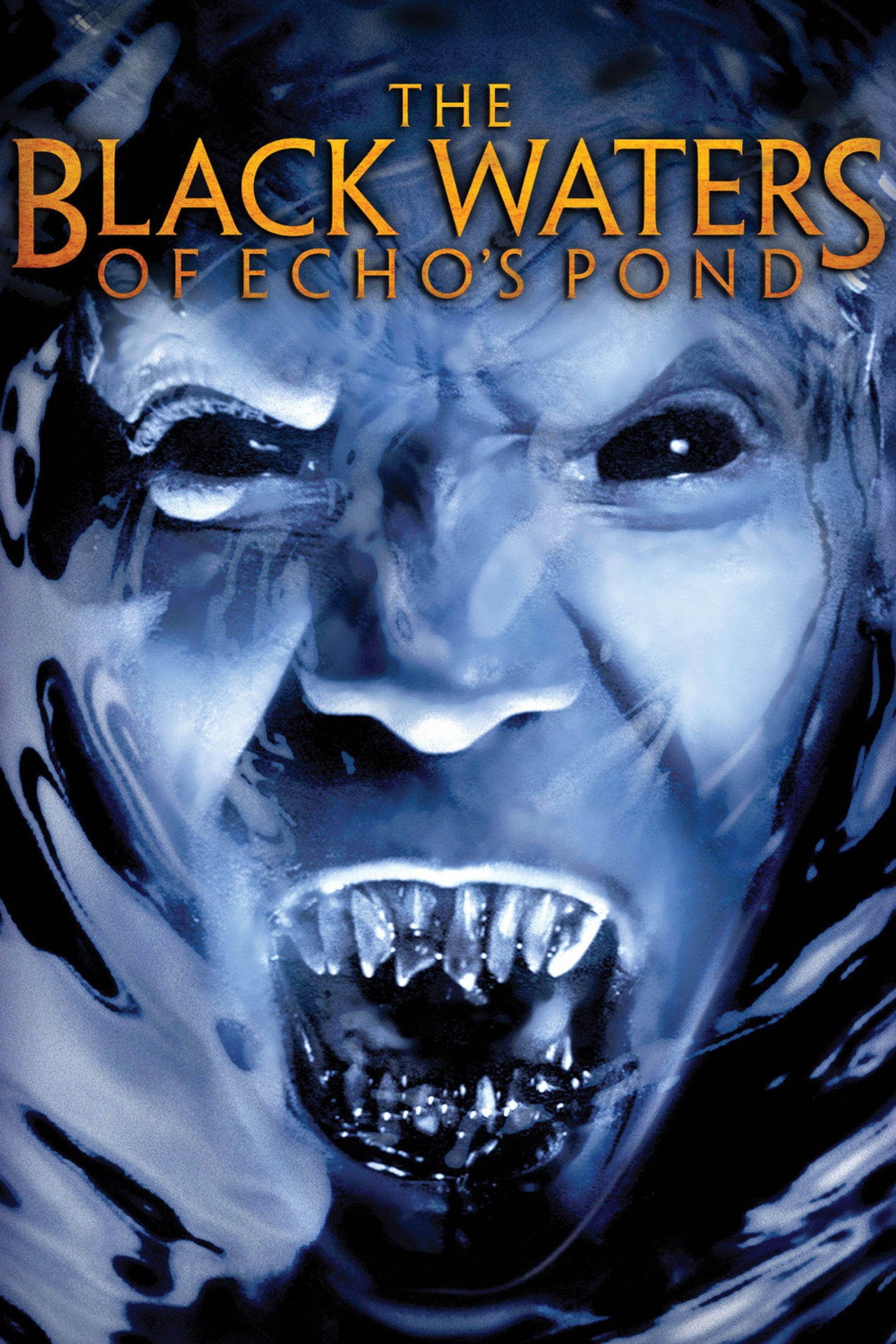 Pôster de The Black Waters of Echo's Pond