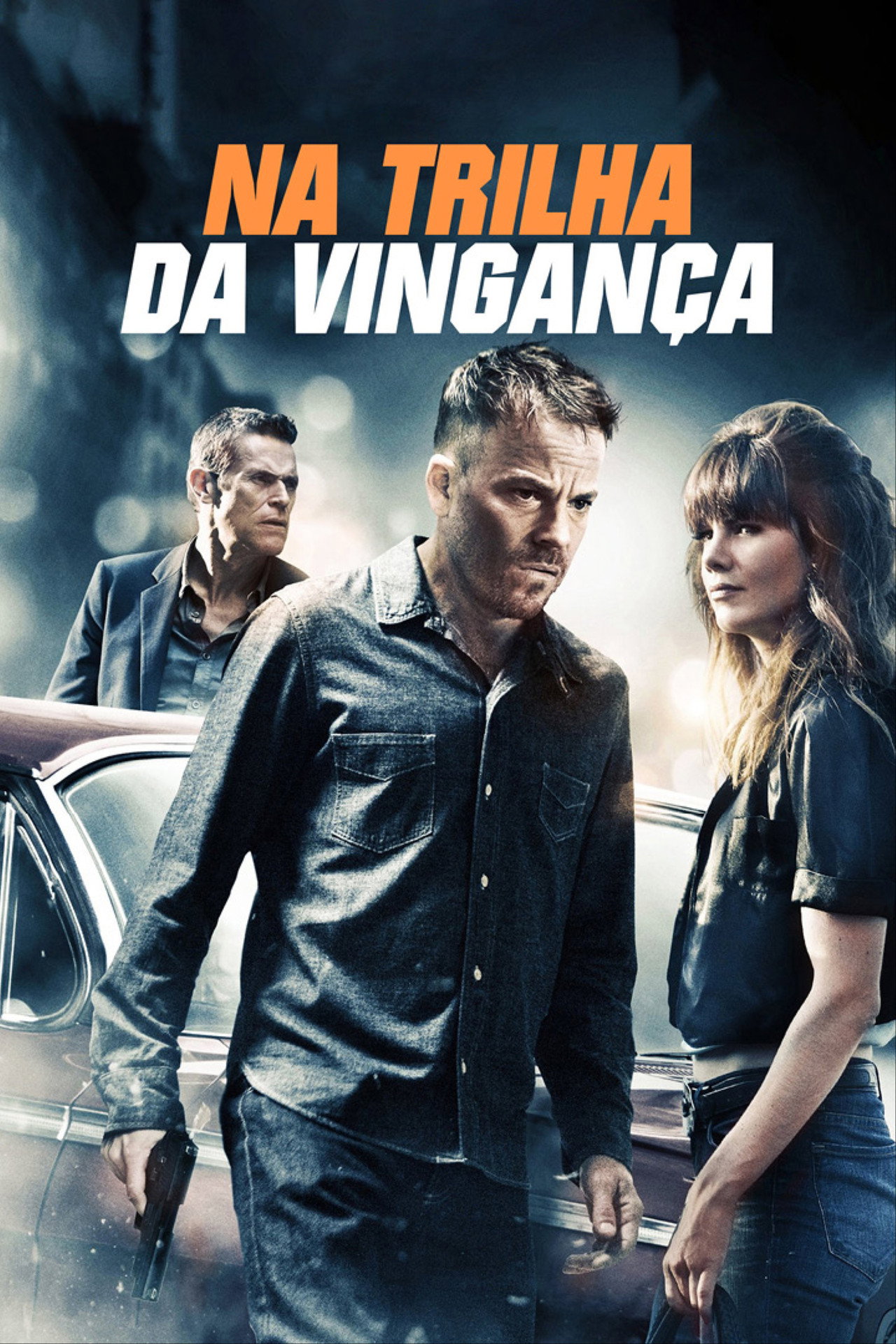 Pôster de Na Trilha da Vingança