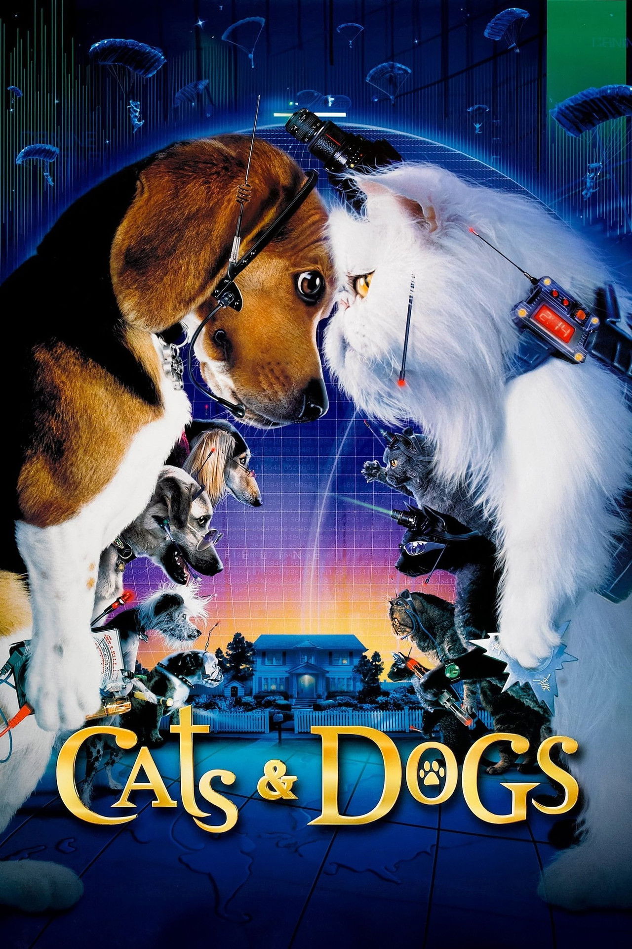 Pôster de Cats & Dogs