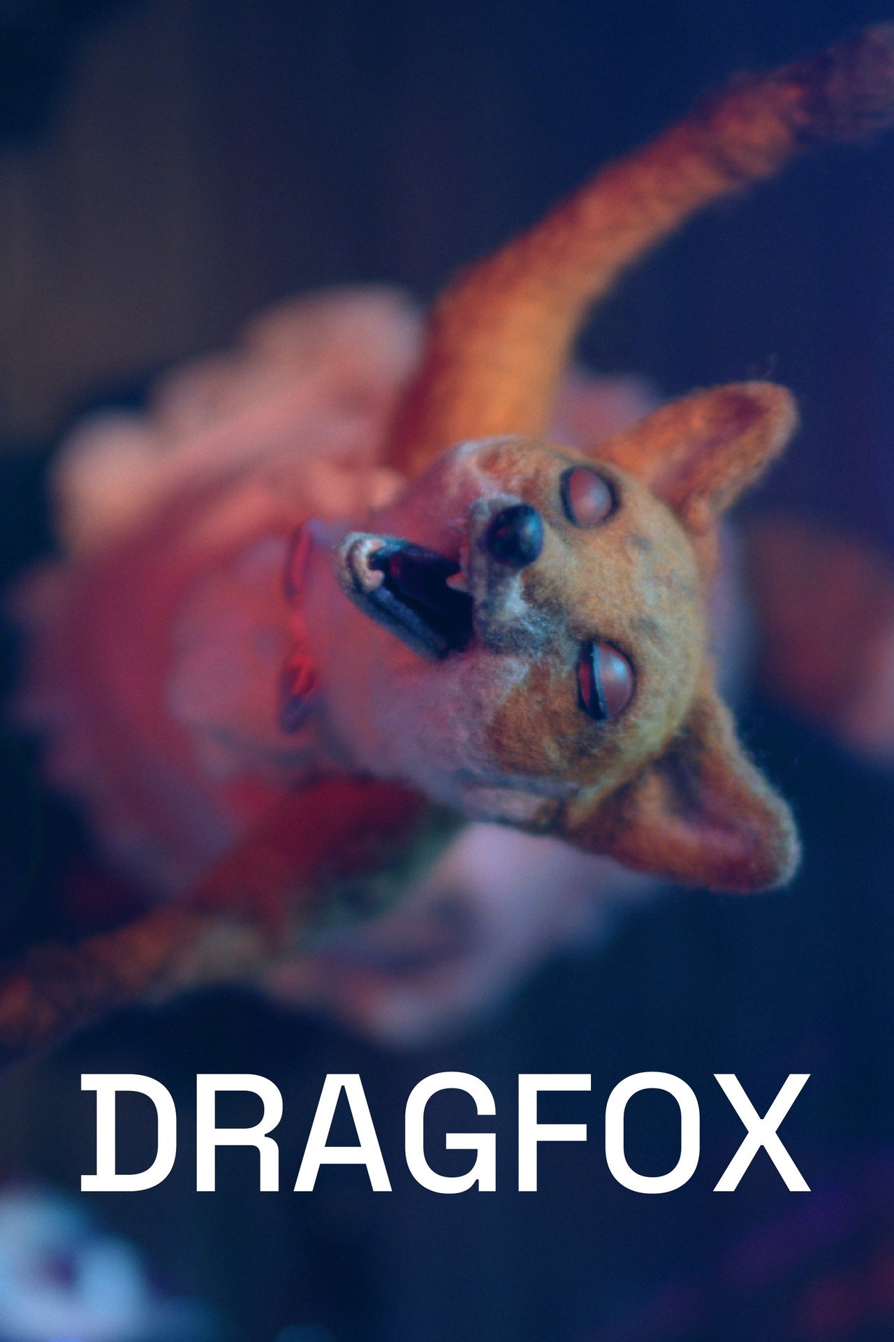 Pôster de Dragfox