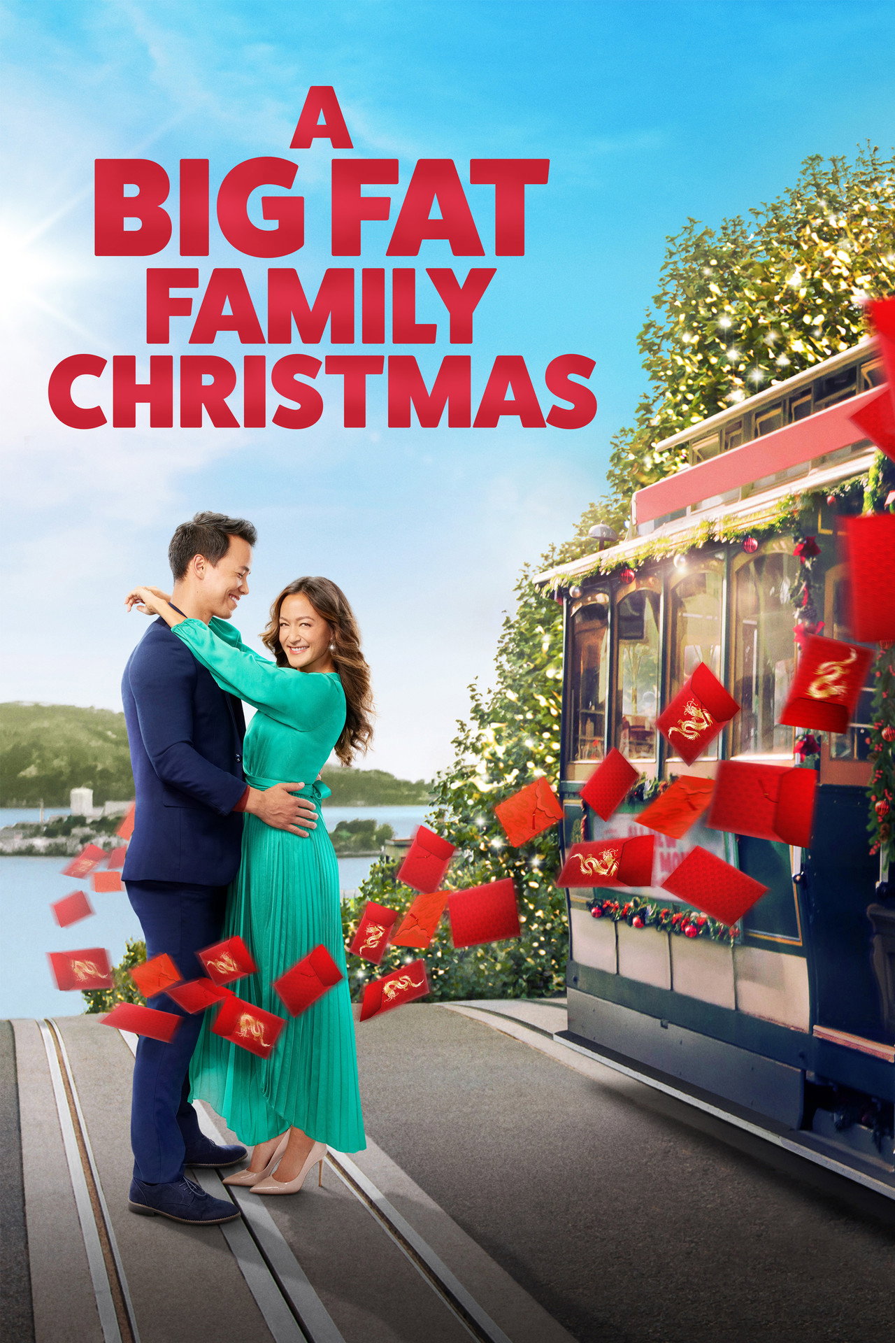 Pôster de A Big Fat Family Christmas