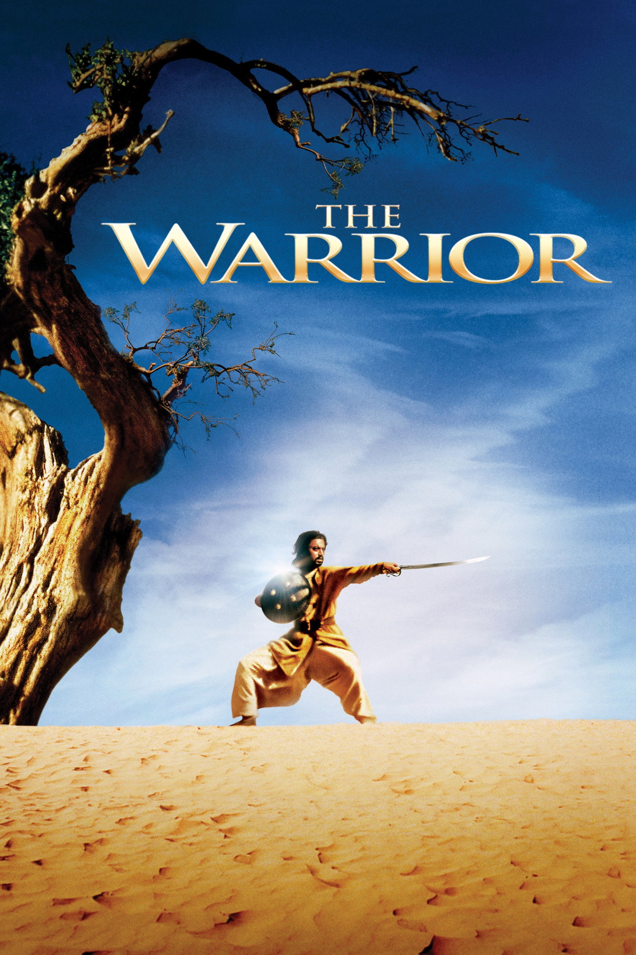 Pôster de The Warrior