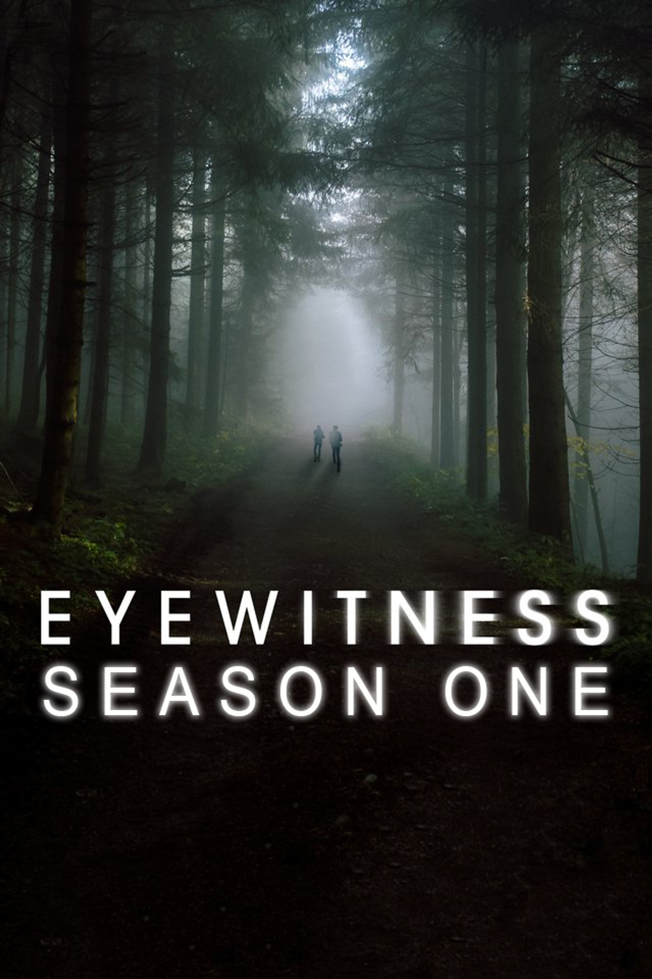 Pôster de Eyewitness