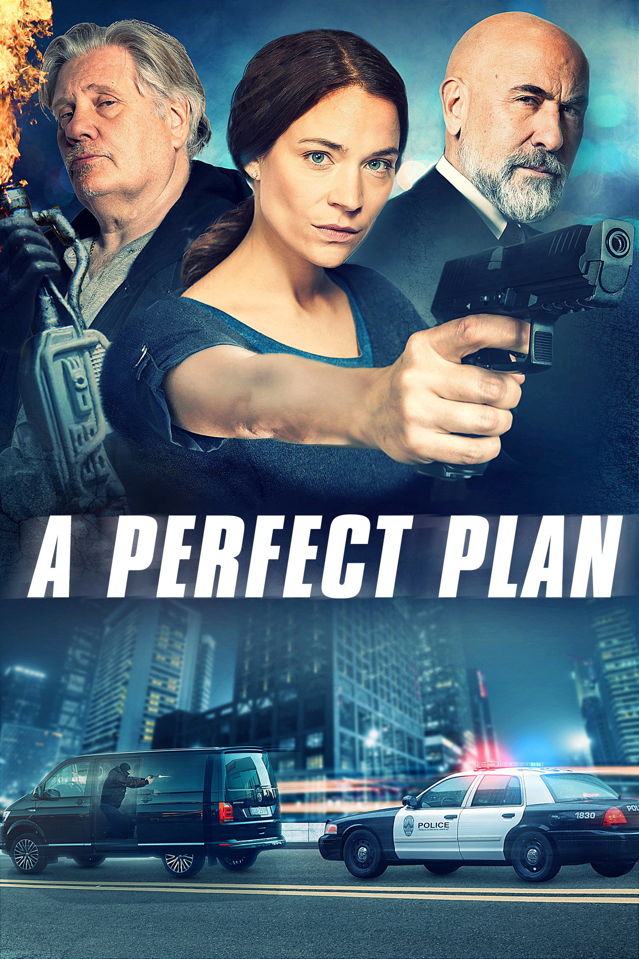Pôster de A Perfect Plan