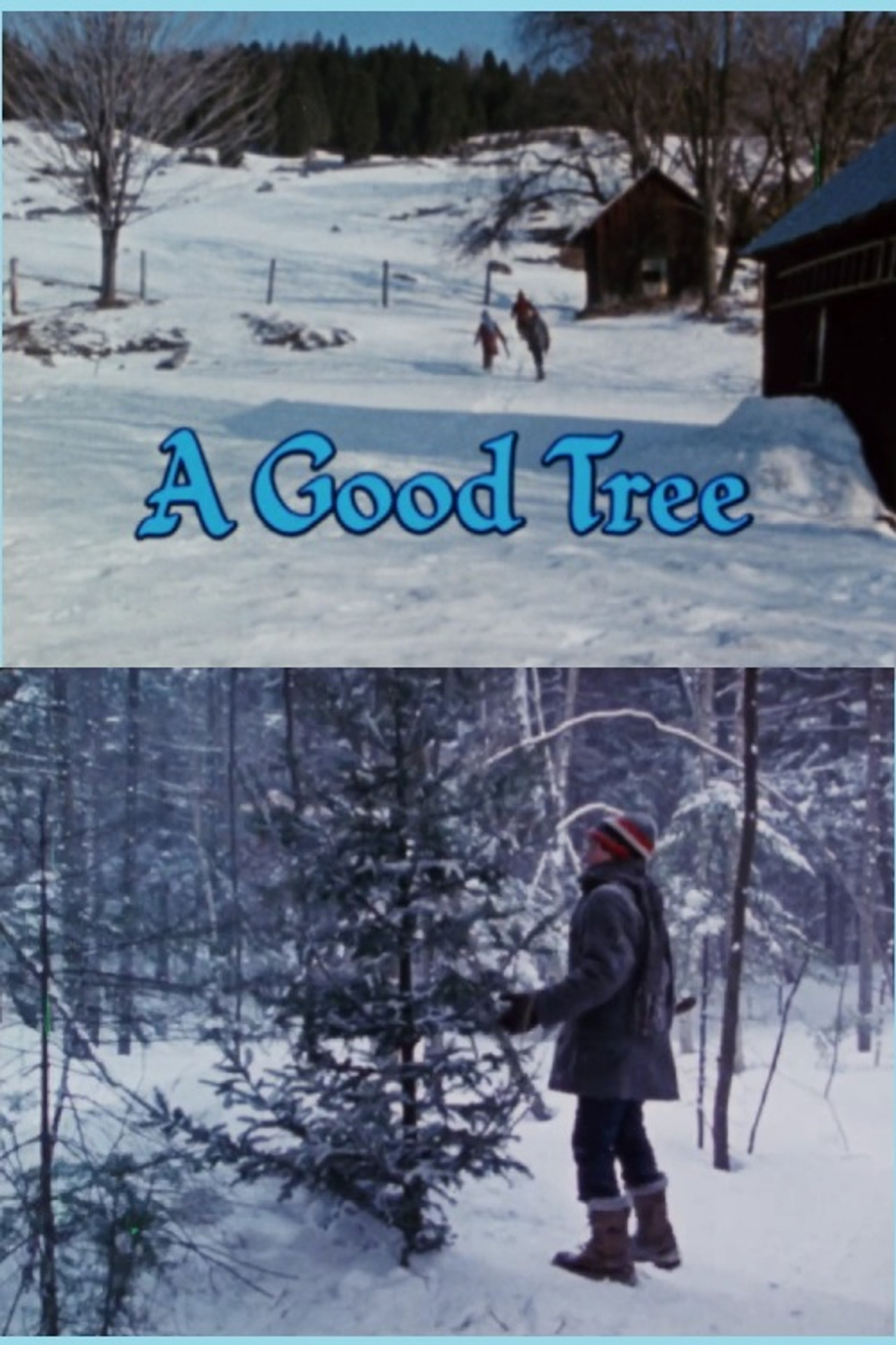 Pôster de A Good Tree