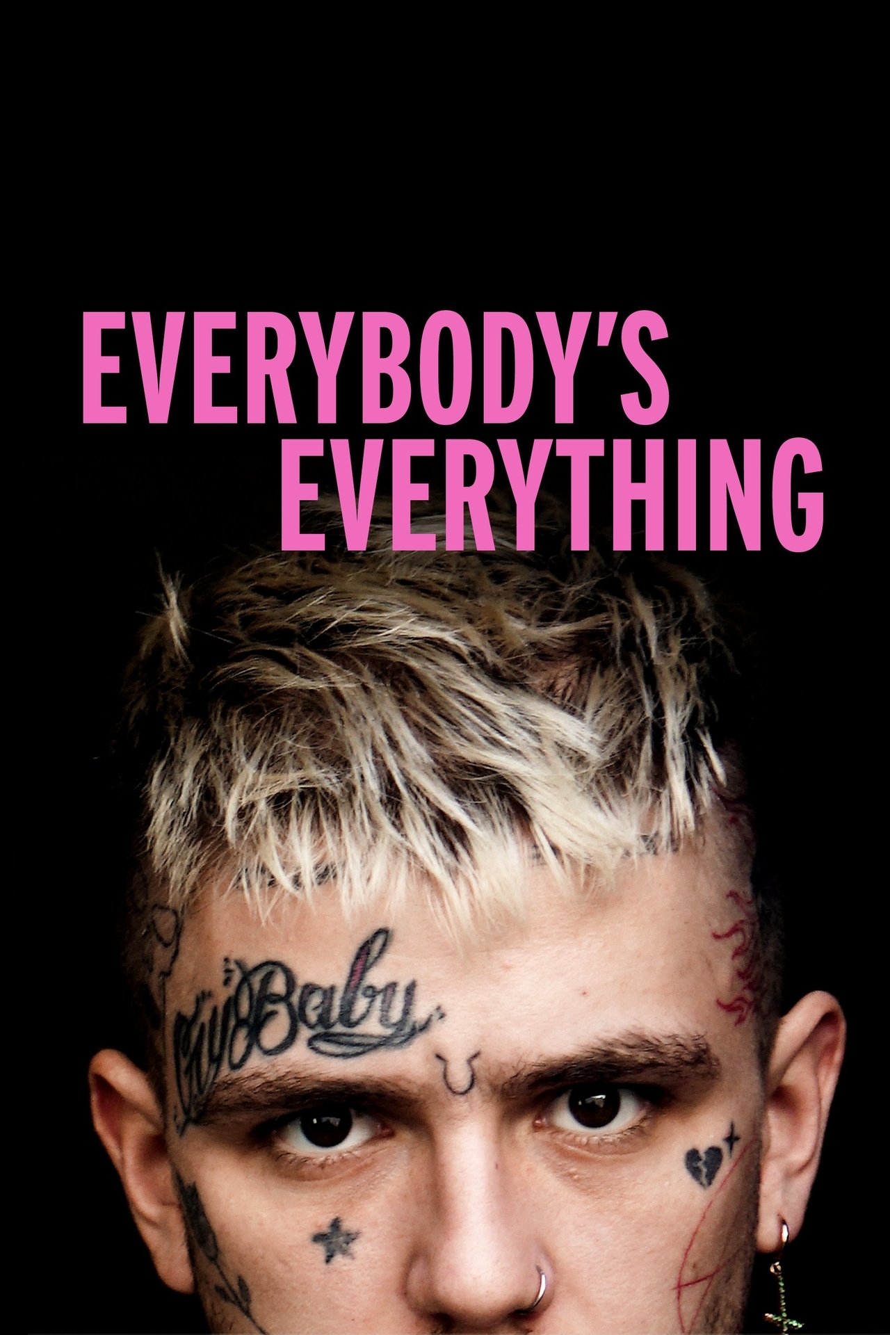 Pôster de Everybody’s Everything