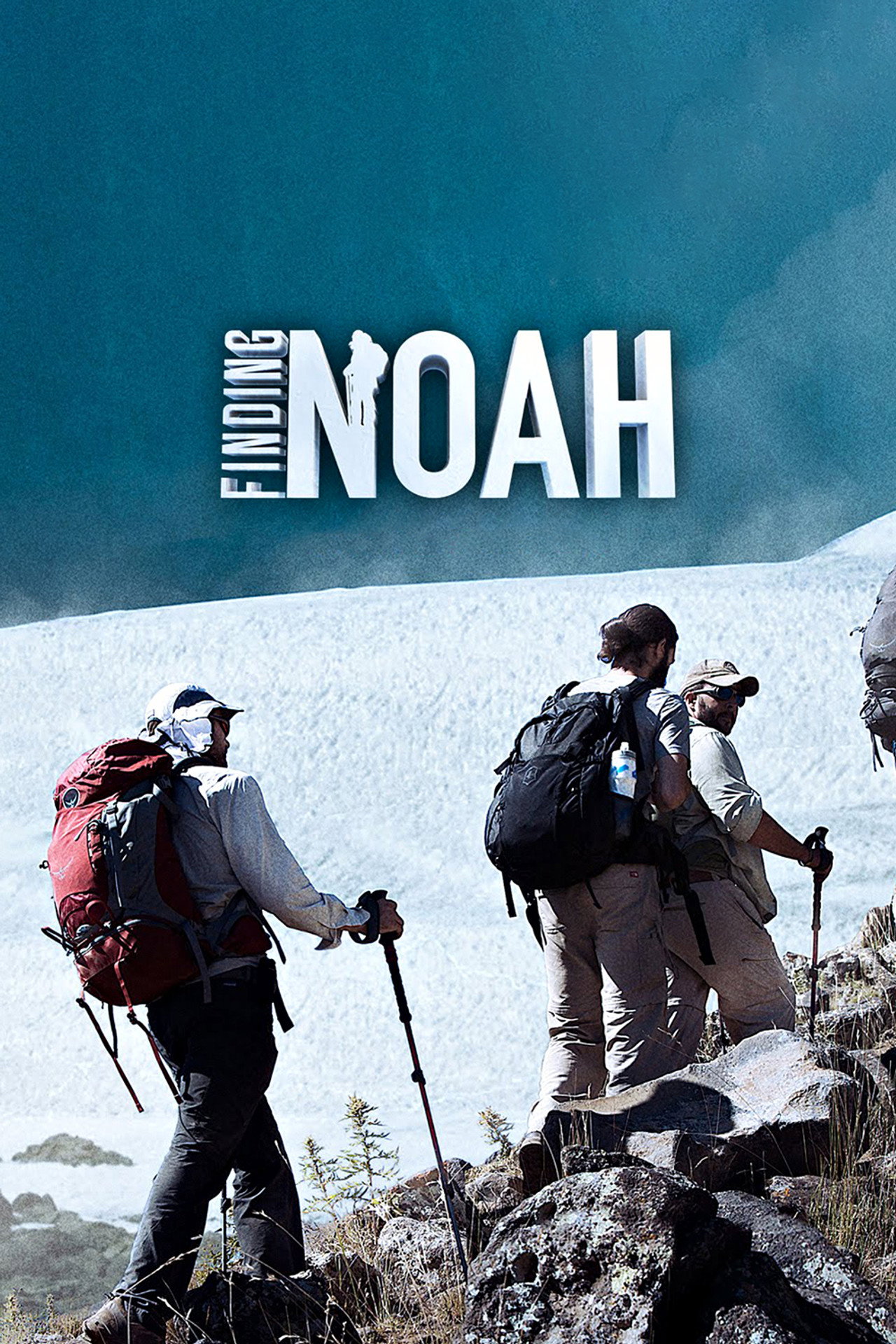 Pôster de Finding Noah