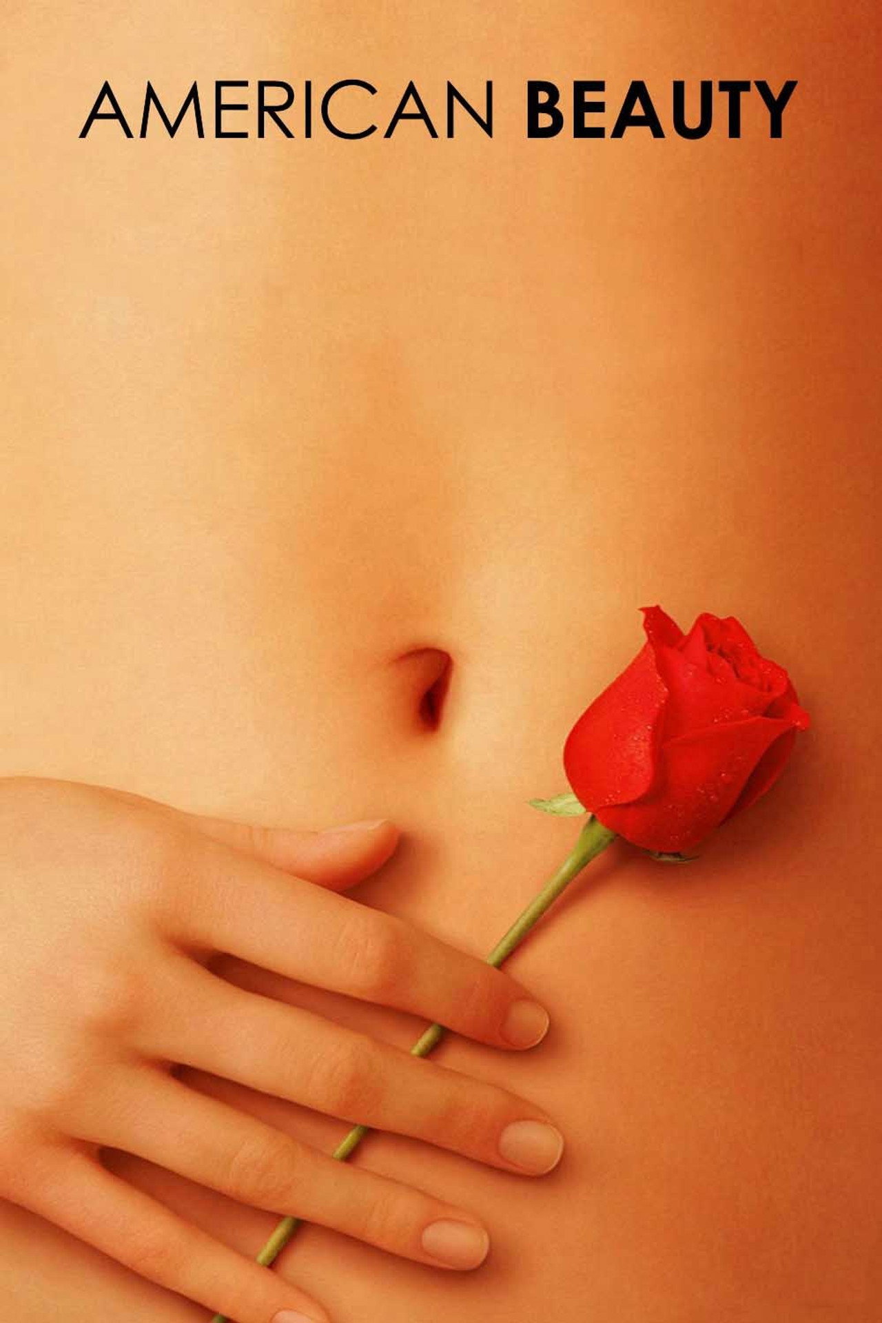 Pôster de American Beauty
