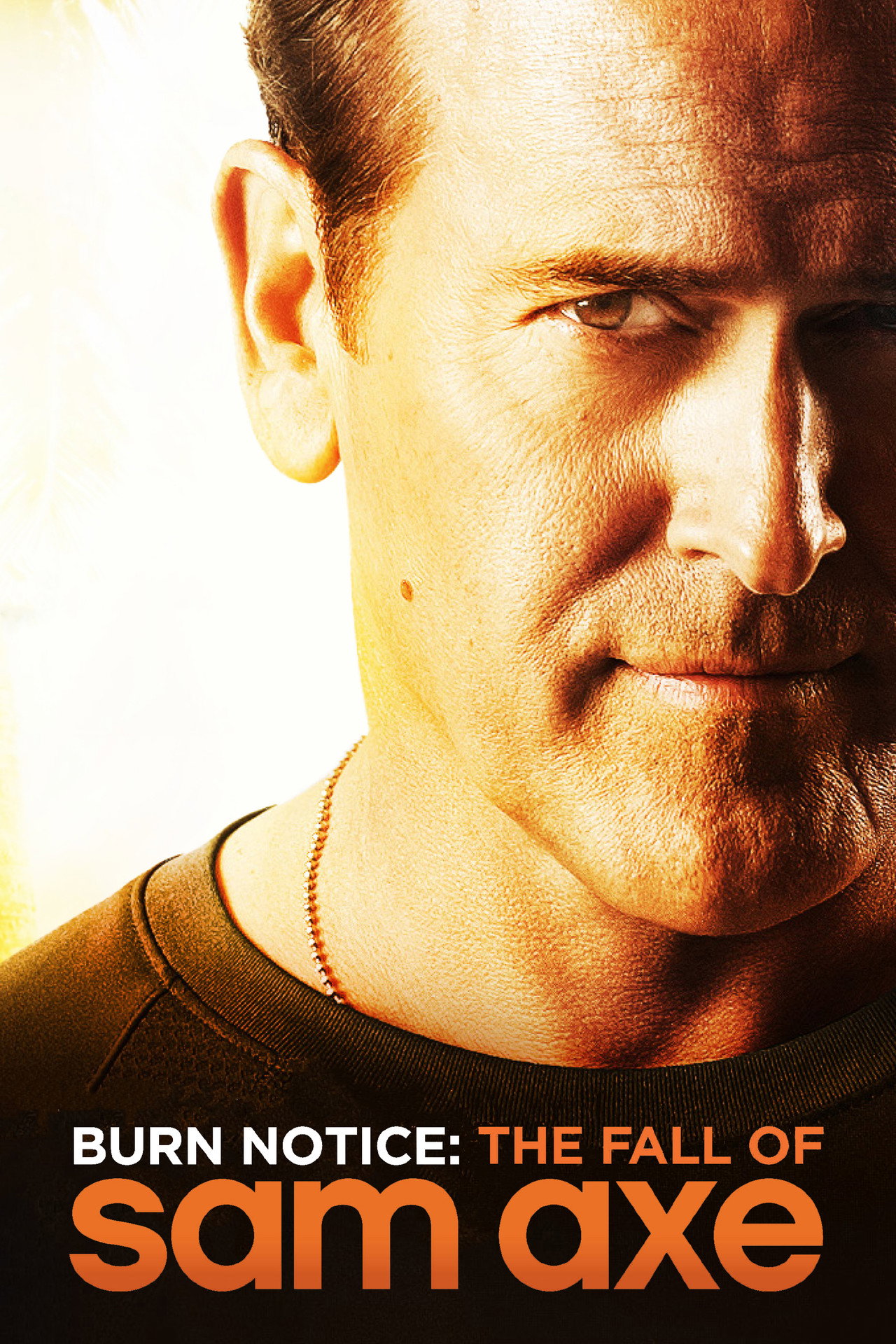 Pôster de Burn Notice: The Fall of Sam Axe