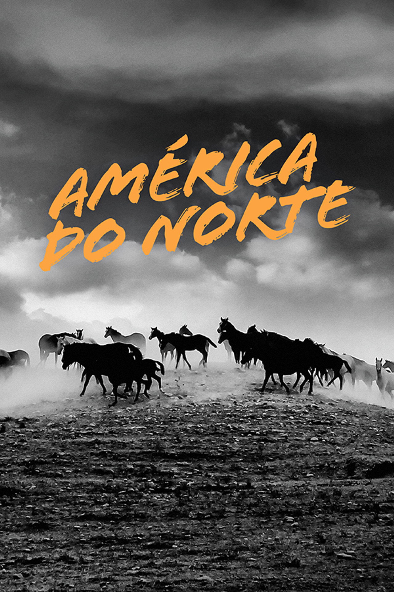 Pôster de América do Norte