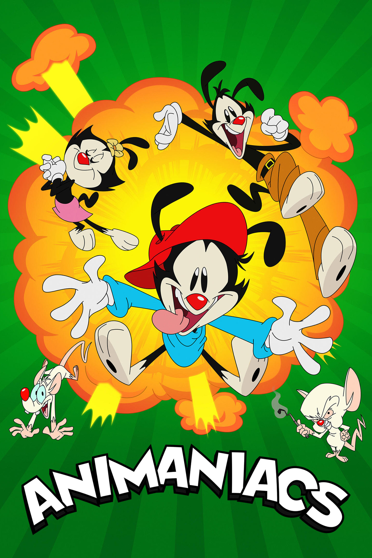 Pôster de Animaniacs
