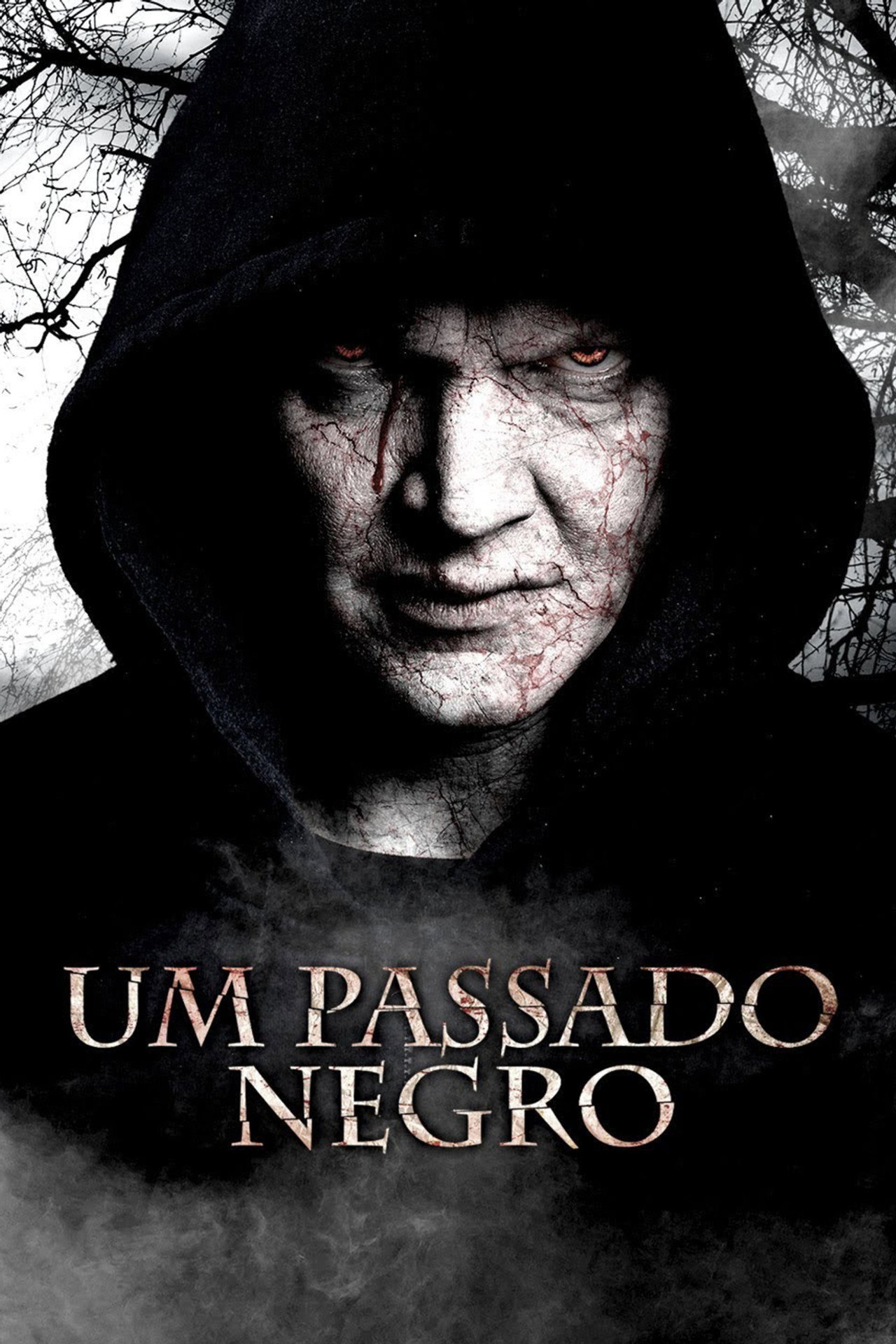 Pôster de Um Passado Negro