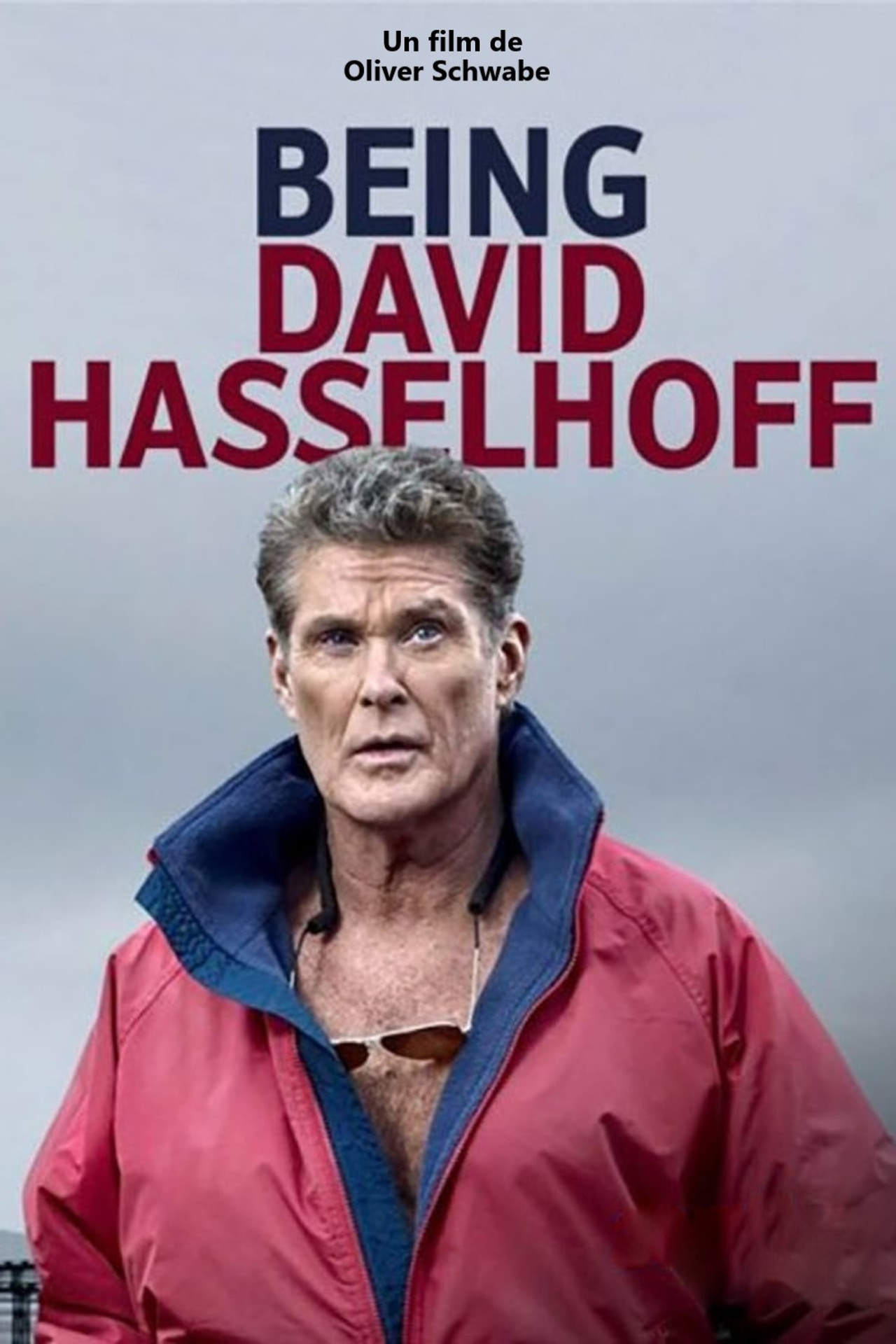 Pôster de Being David Hasselhoff