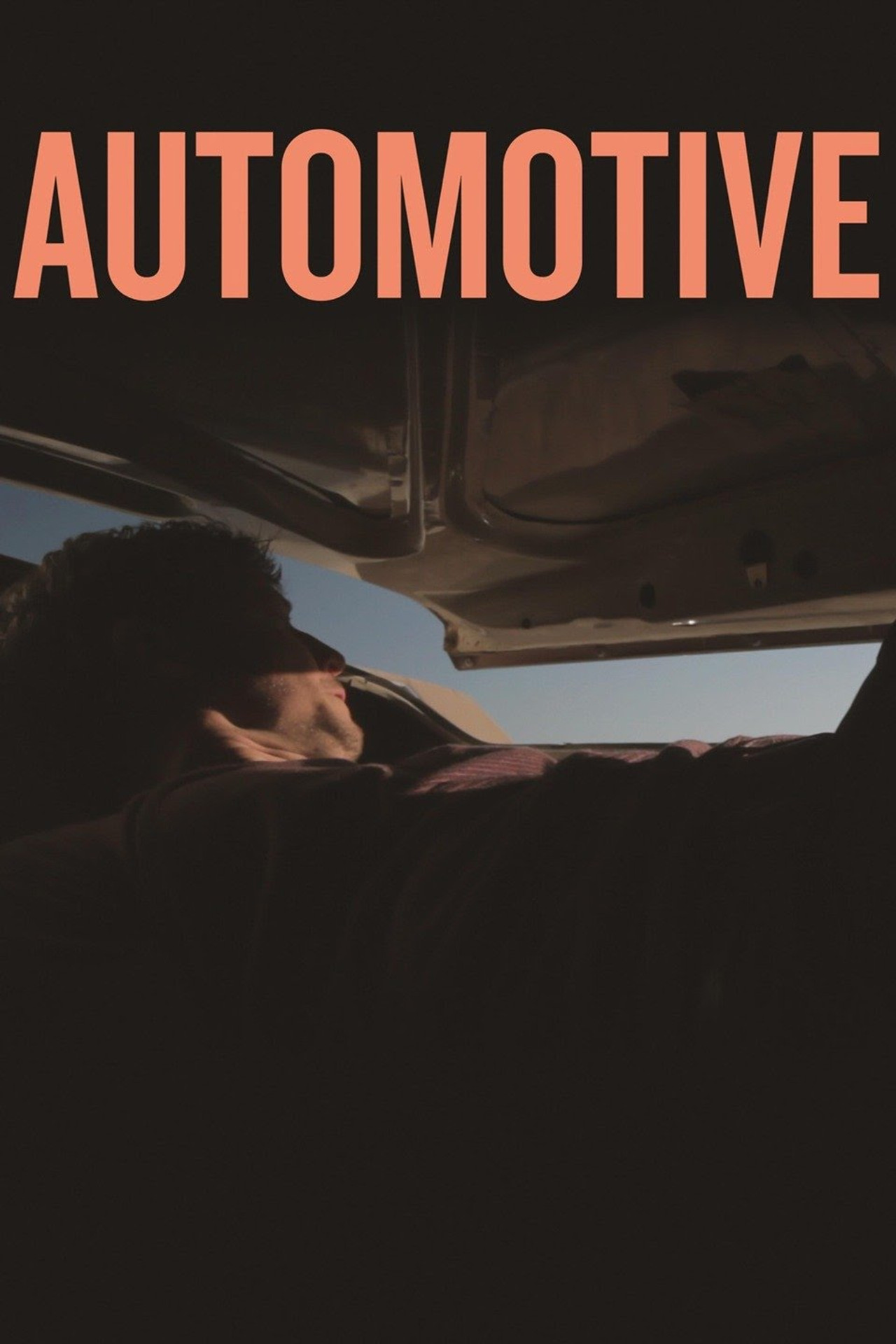Pôster de Automotive