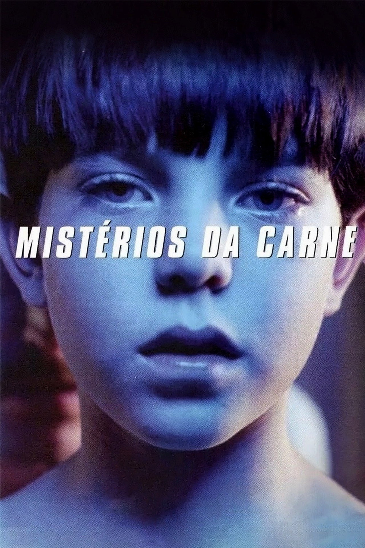 Pôster de Mistérios da Carne