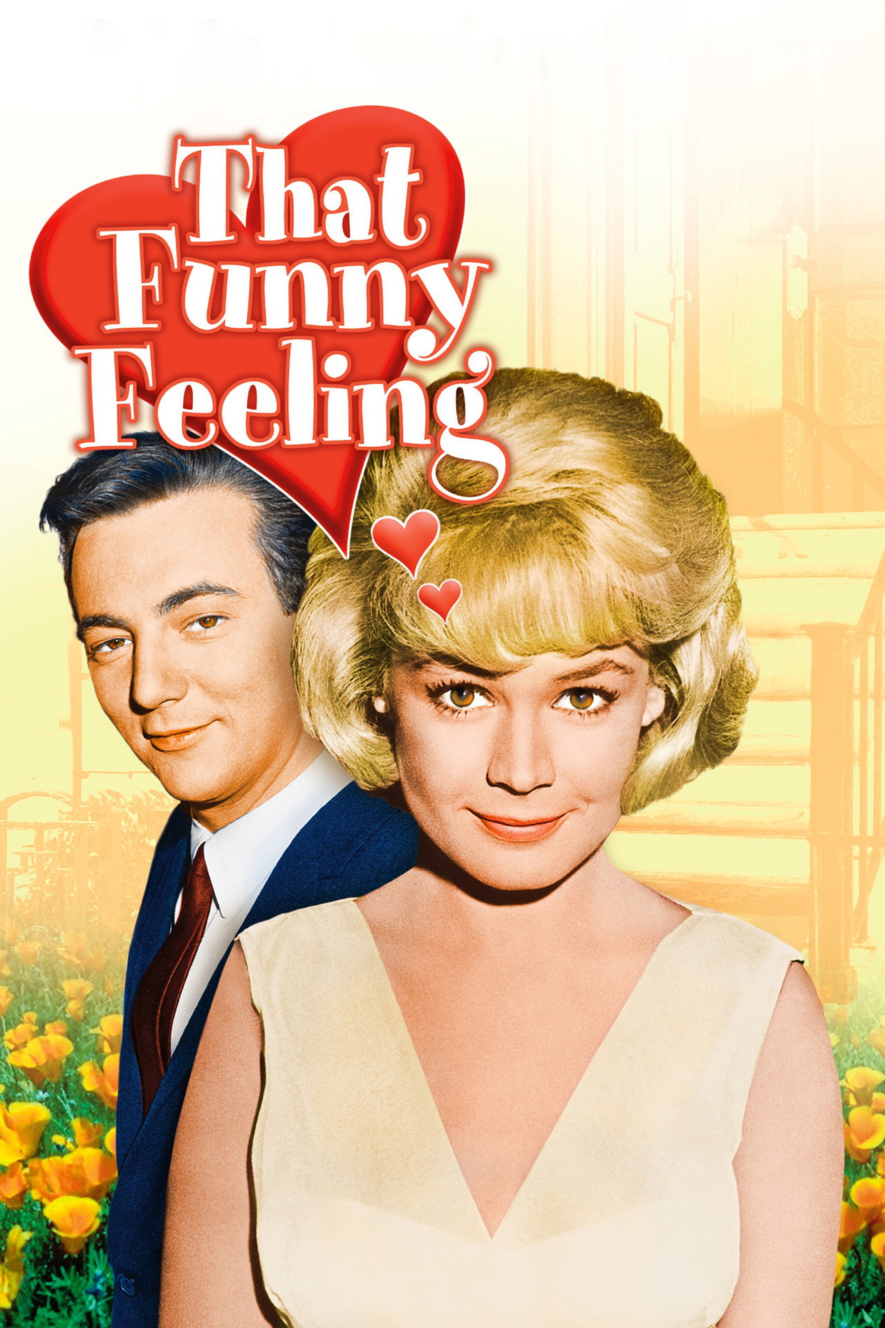 Pôster de That Funny Feeling