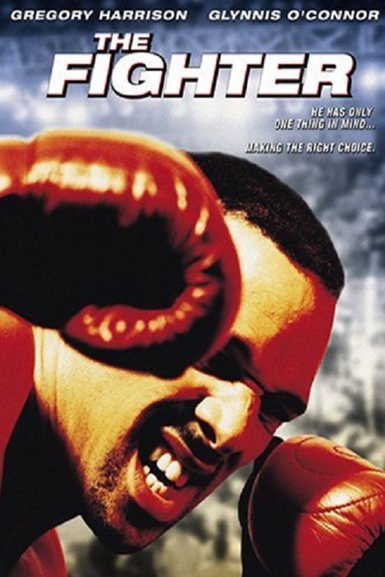 Pôster de The Fighter