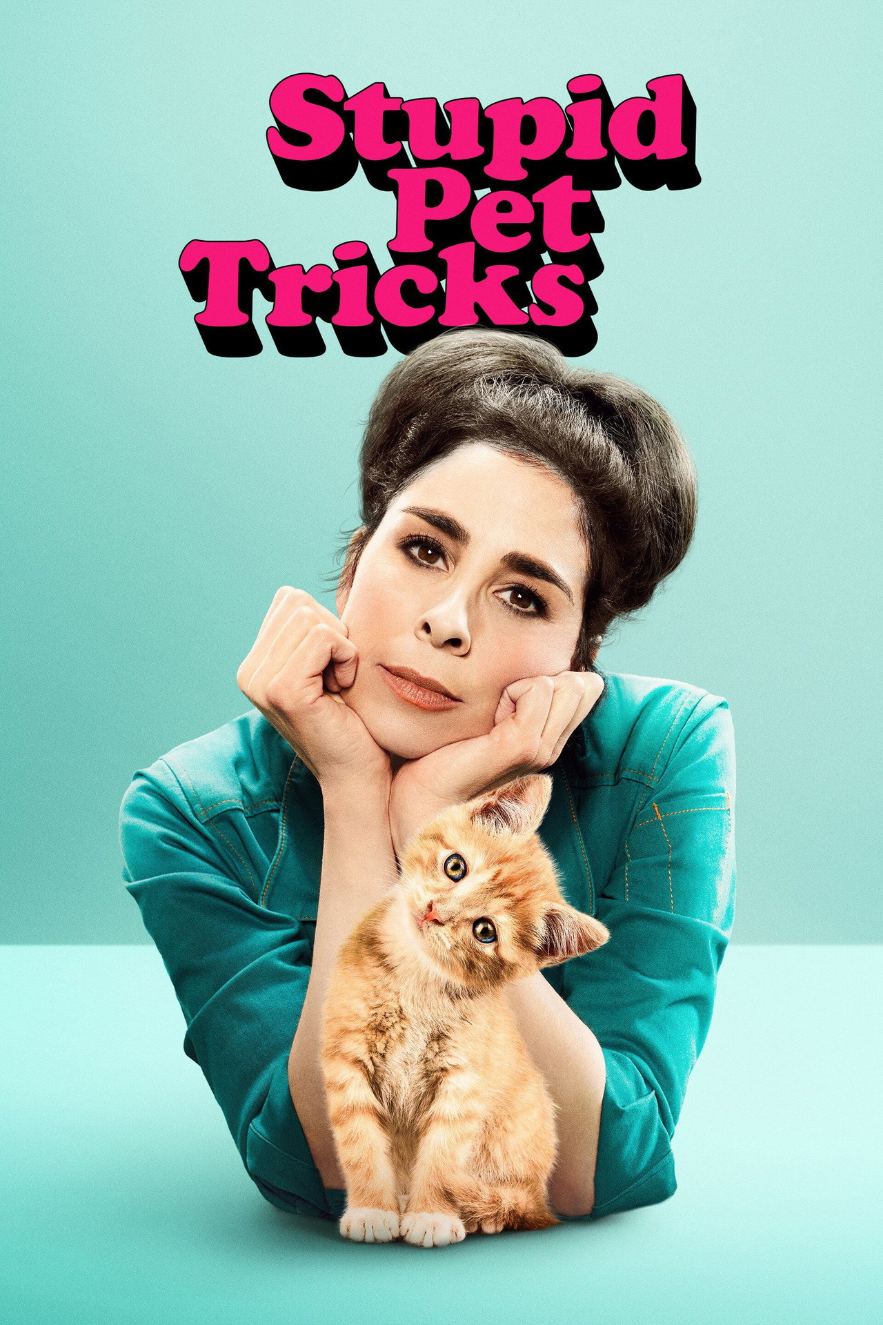 Pôster de Stupid Pet Tricks