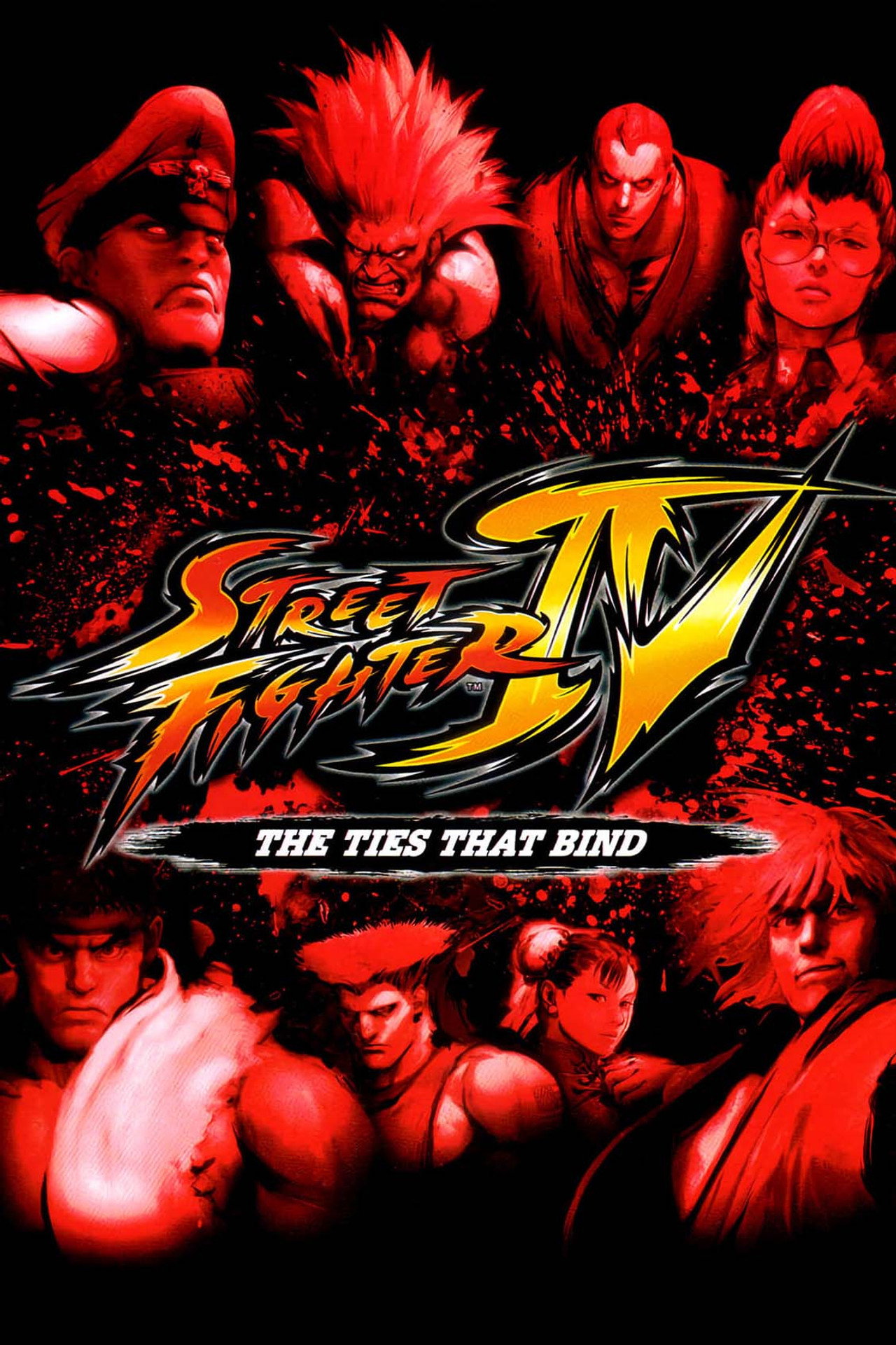 Pôster de Street Fighter IV: Aratanaru Kizuna