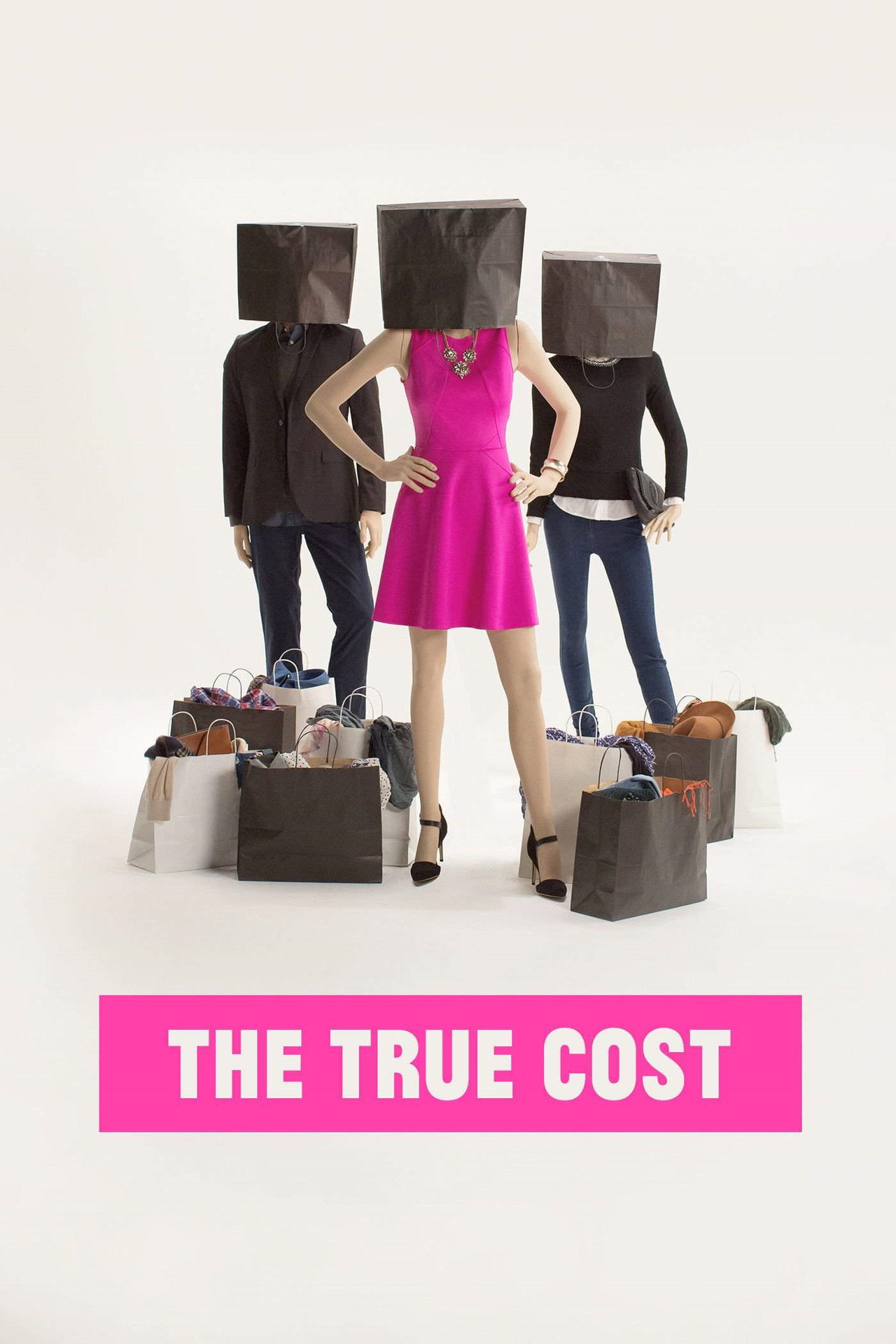 Pôster de The True Cost