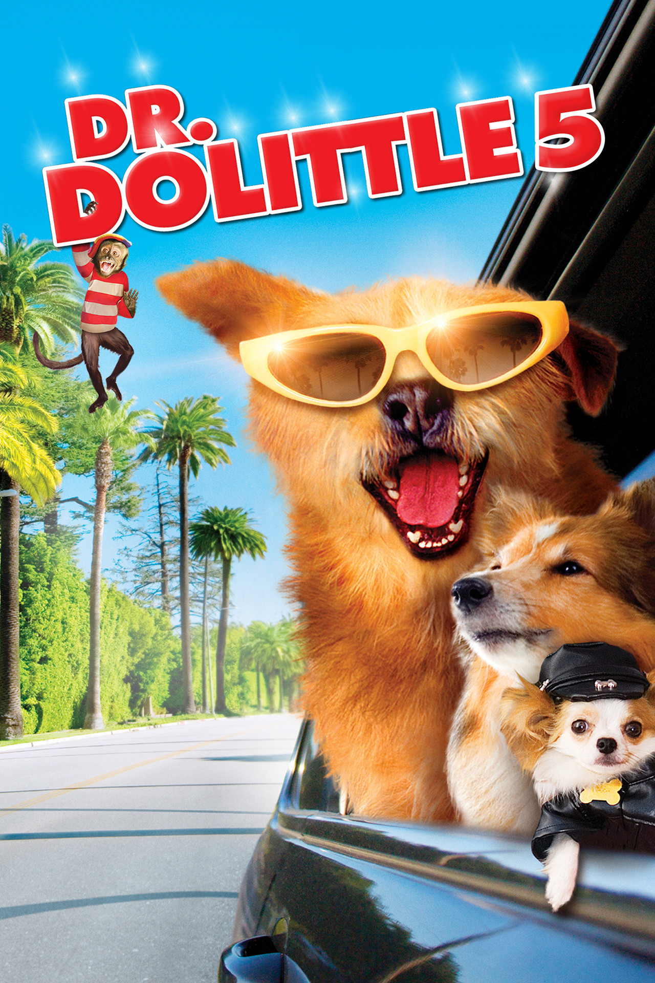 Pôster de Dr. Dolittle 5