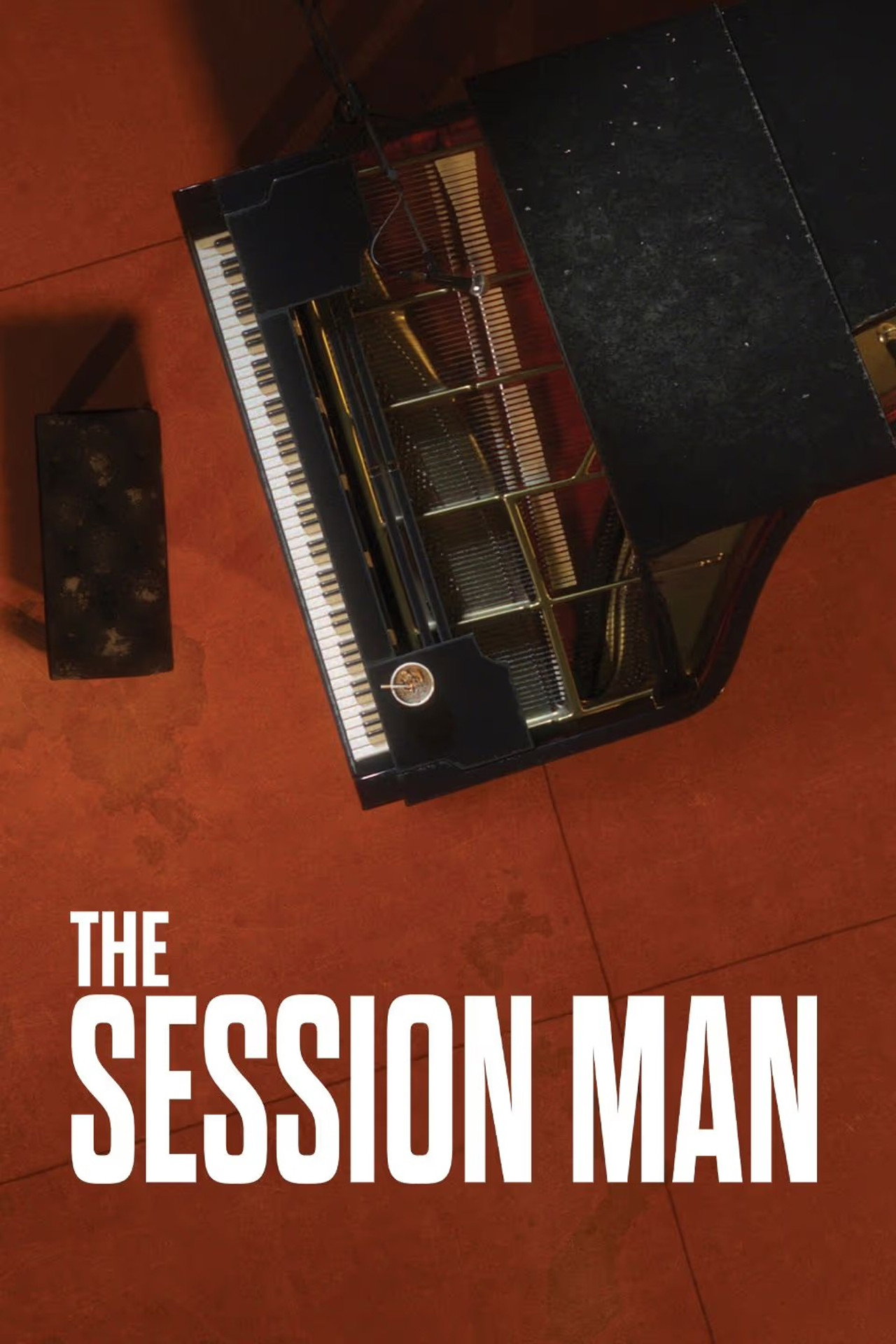 Pôster de The Session Man