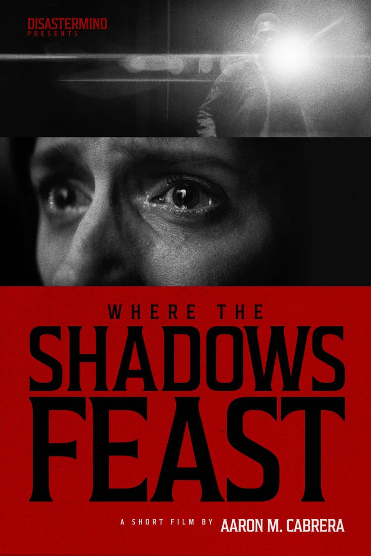 Pôster de Where the Shadows Feast