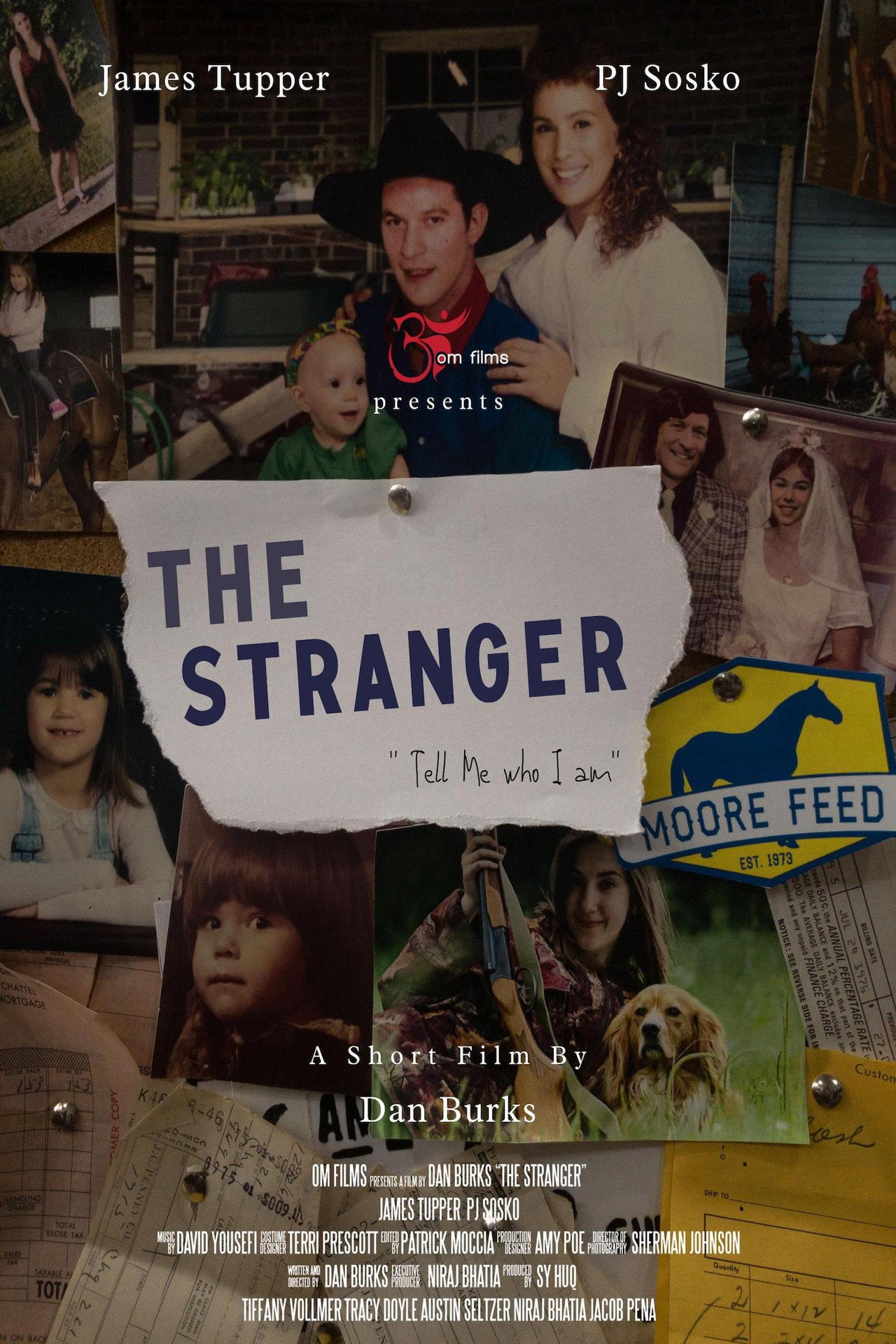 Pôster de The Stranger
