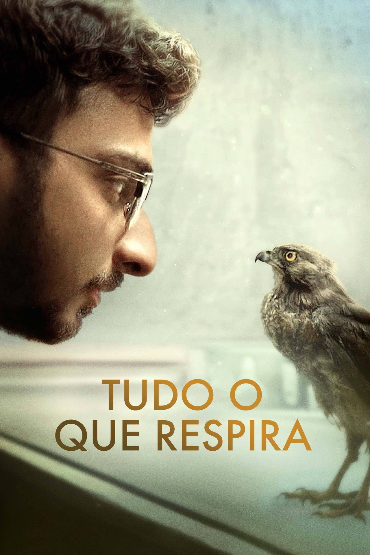 Pôster de Tudo O Que Respira