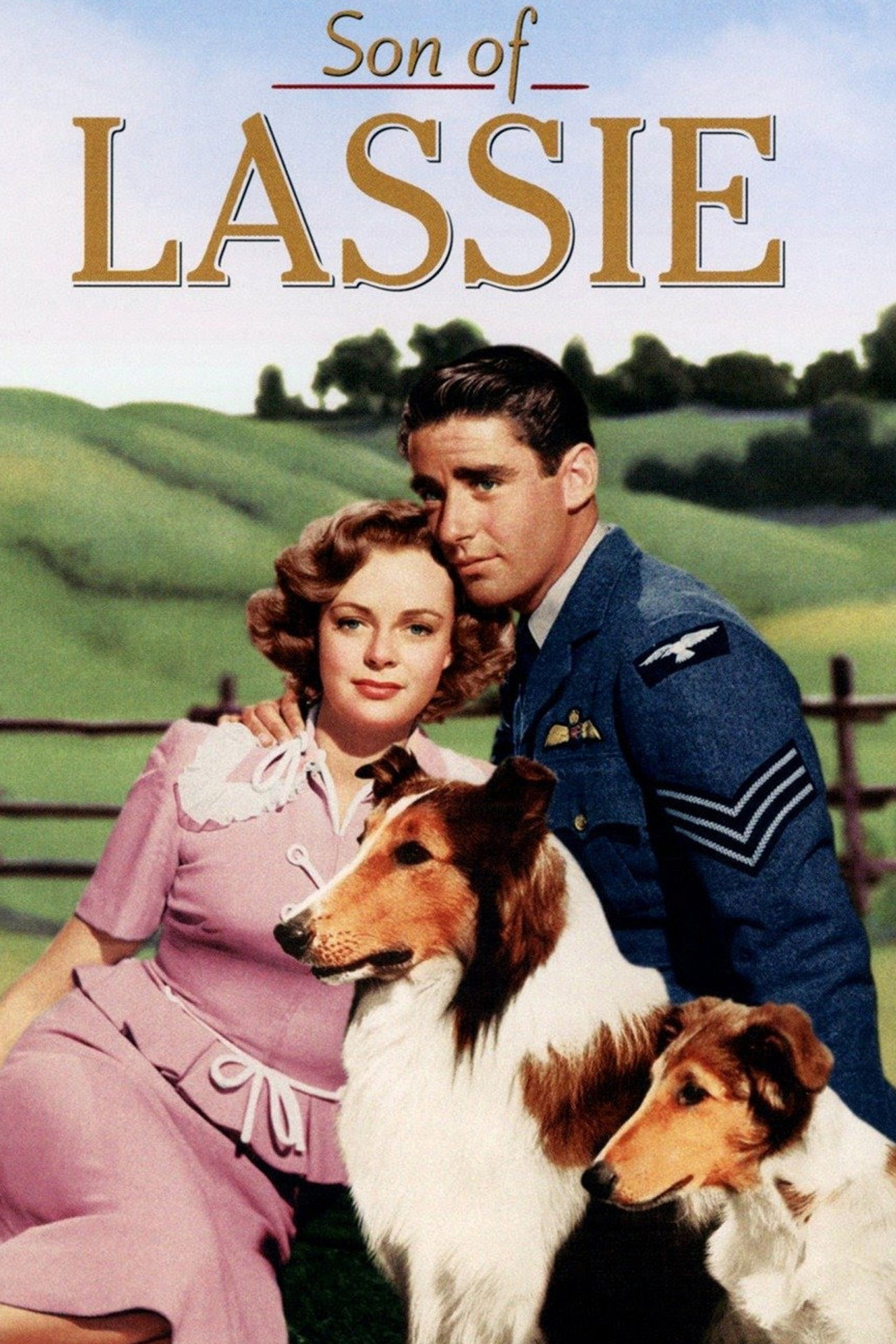 Pôster de O Filho de Lassie