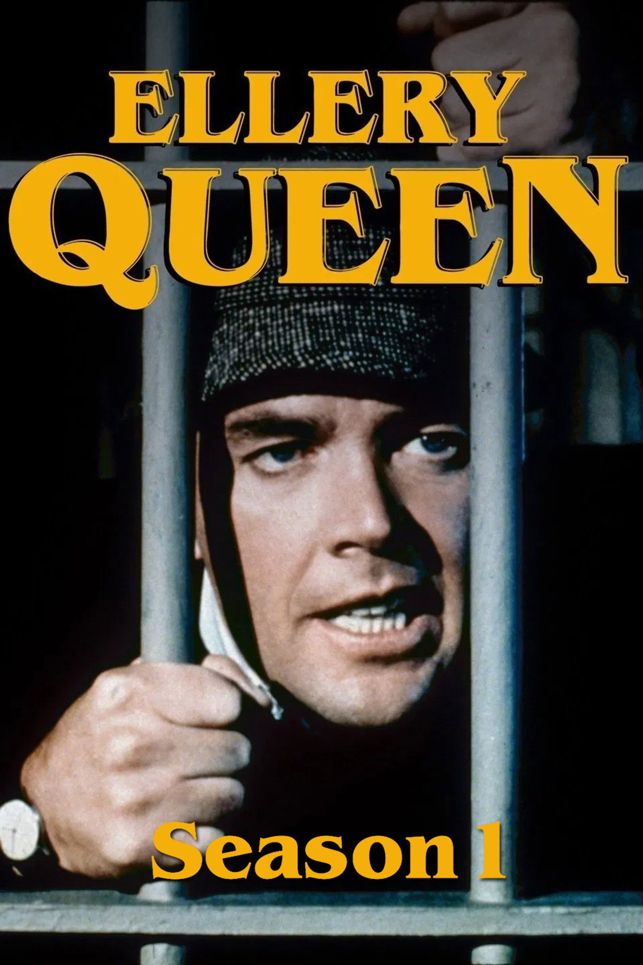 Pôster de Ellery Queen
