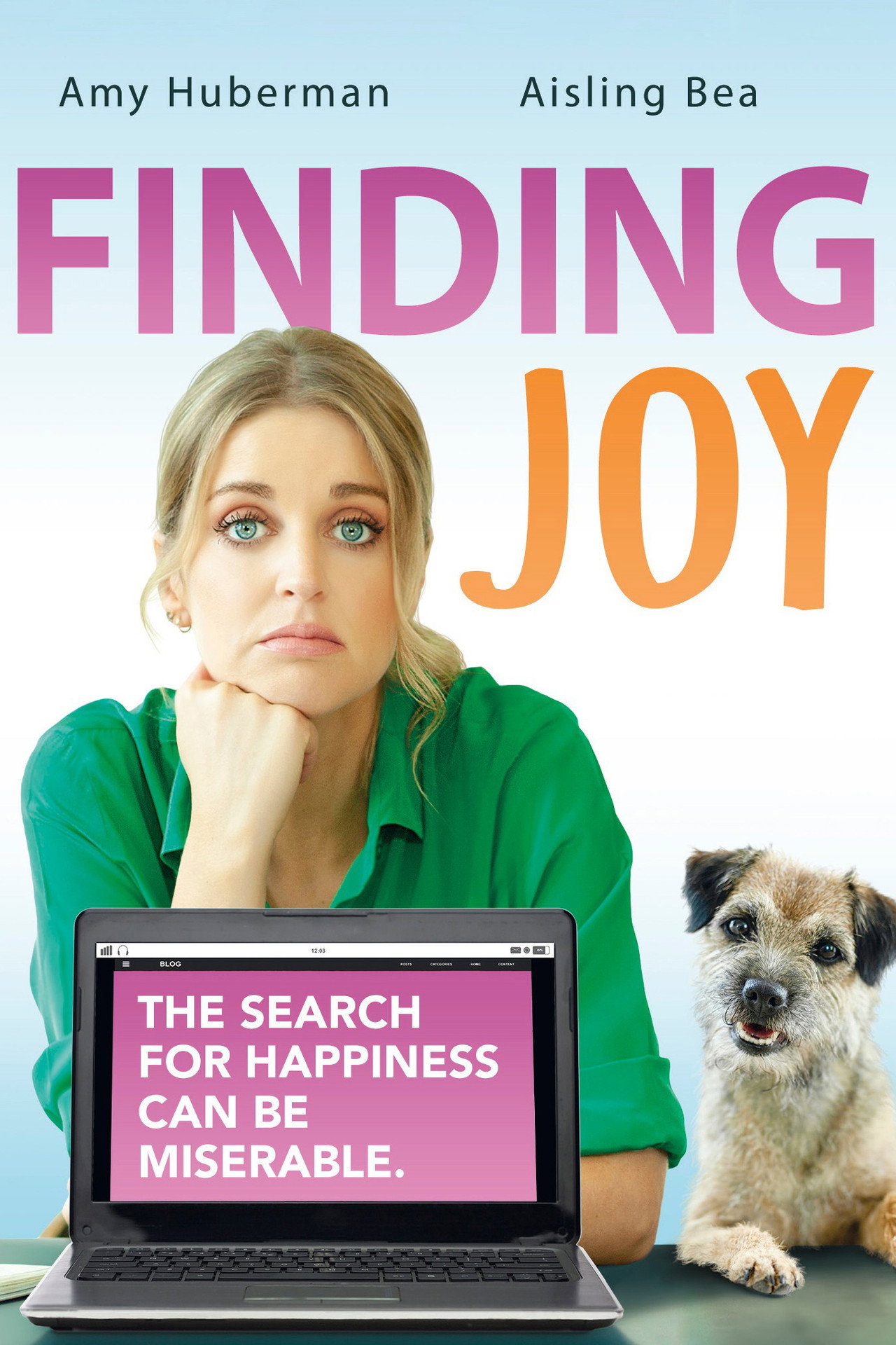 Pôster de Finding Joy