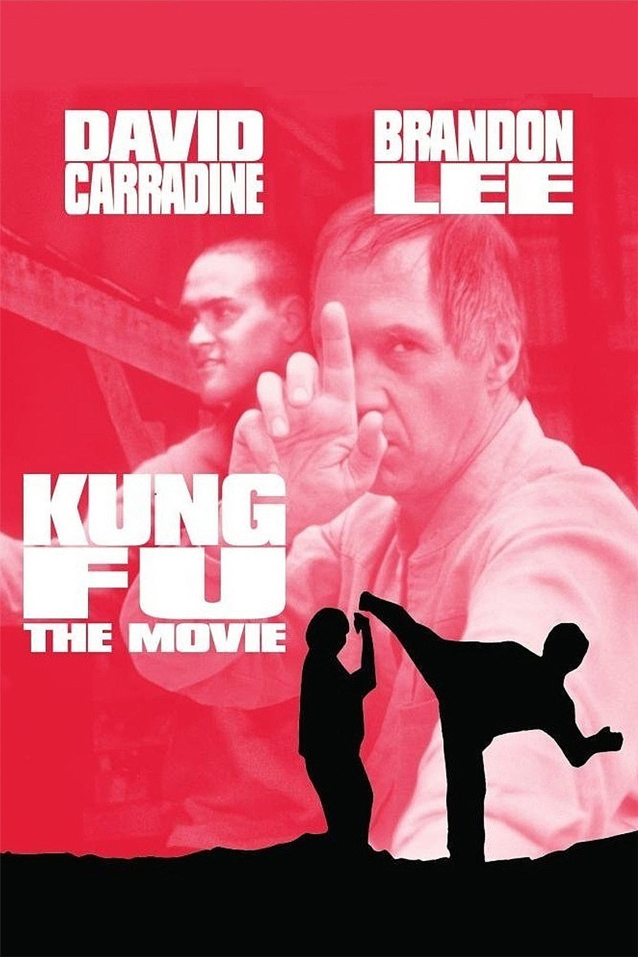 Pôster de Kung Fu: The Movie