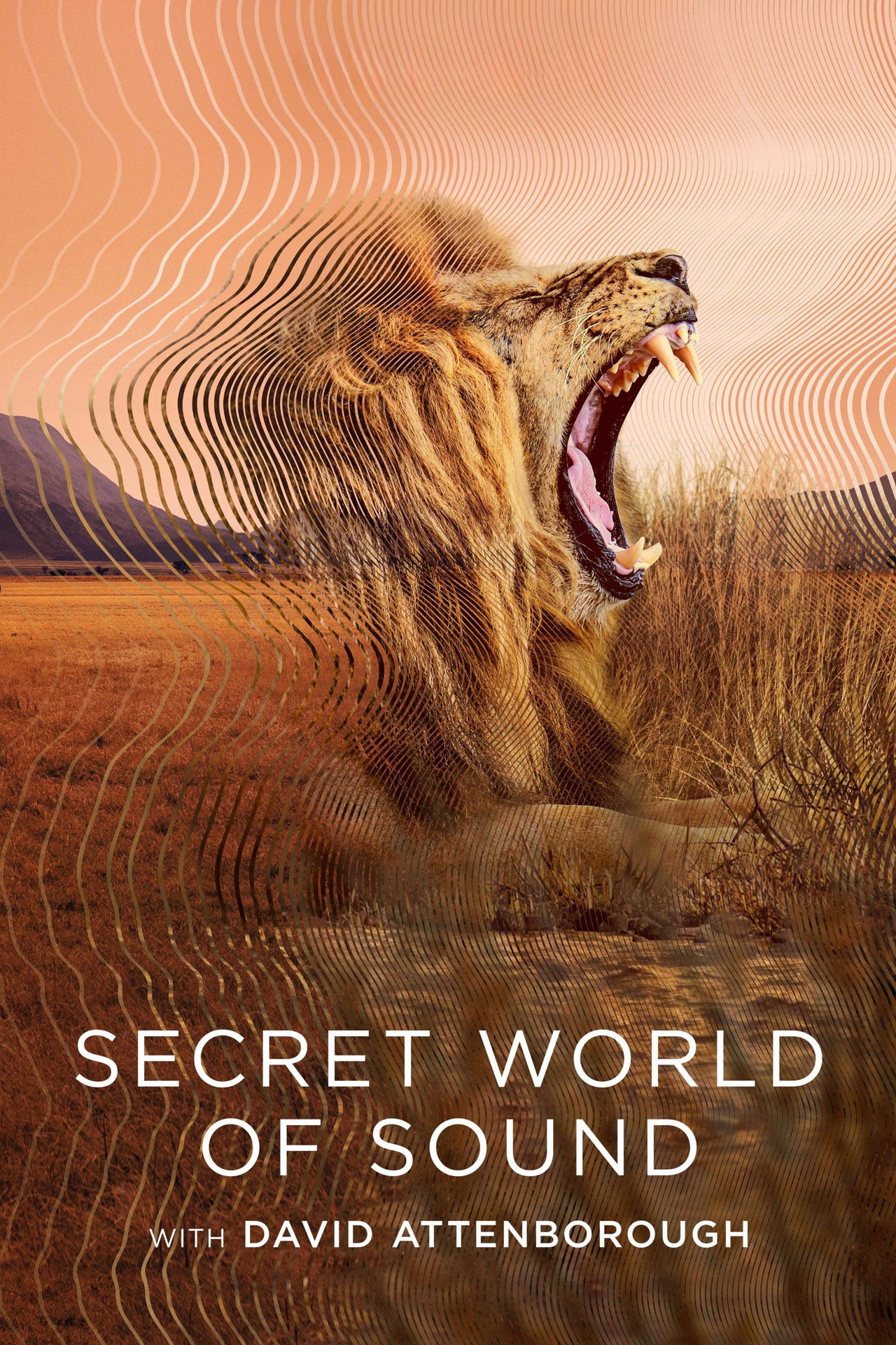 Pôster de Secret World of Sound