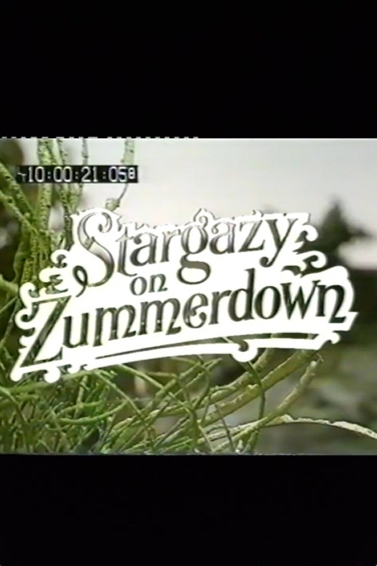 Pôster de Stargazy on Zummerdown