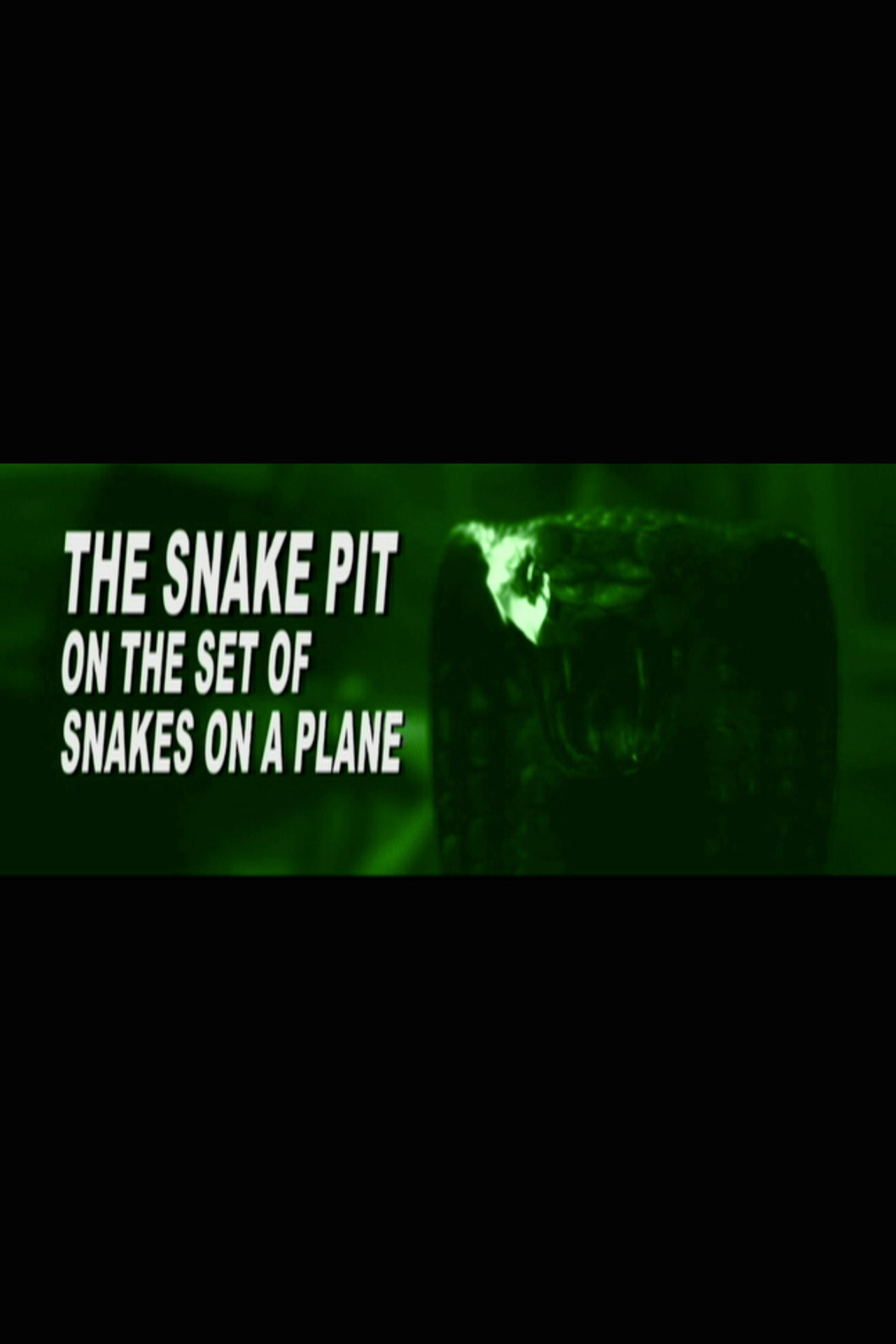 Pôster de The Snake Pit: On the Set of 'Snakes on a Plane'