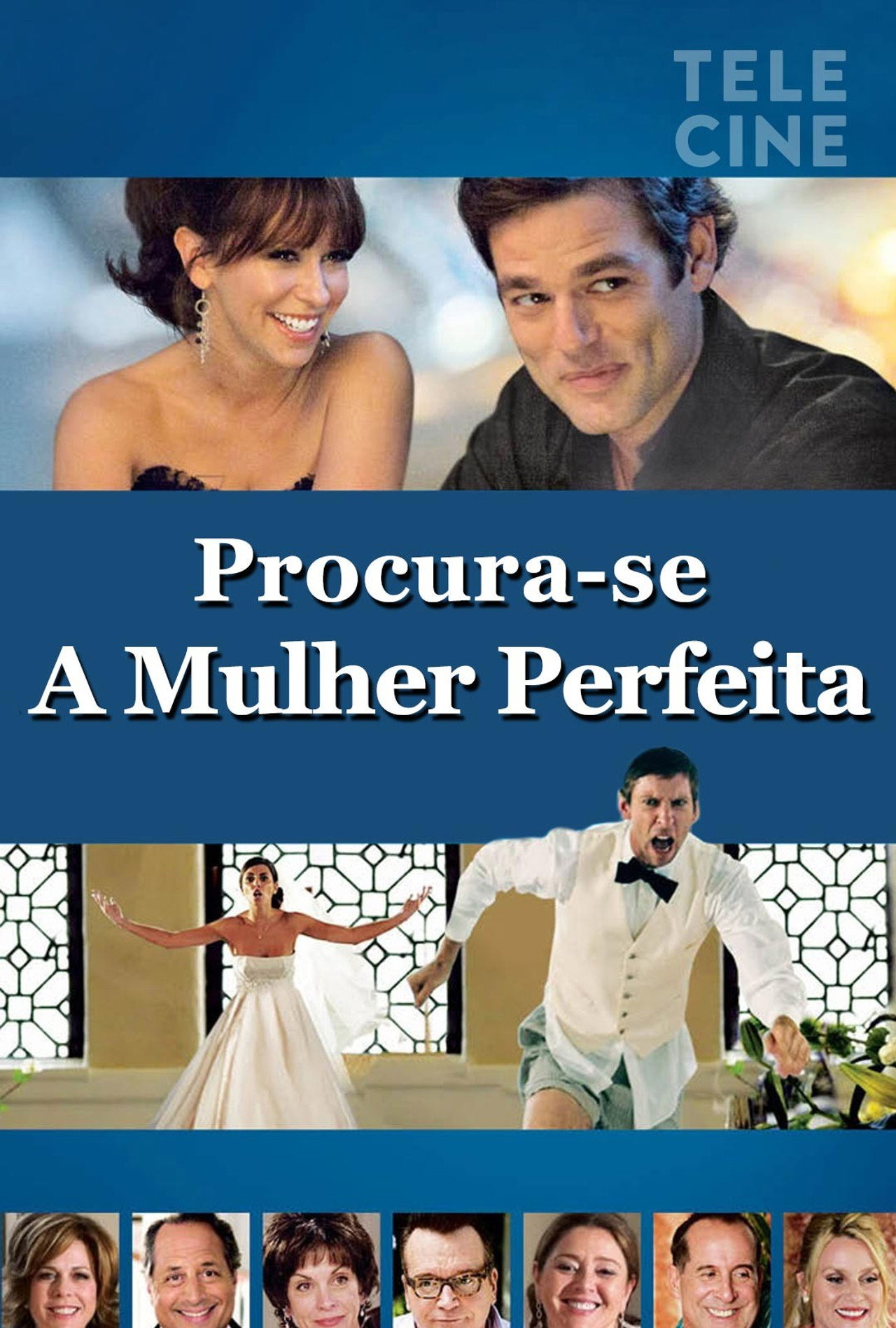Pôster de Procura-se A Mulher Perfeita