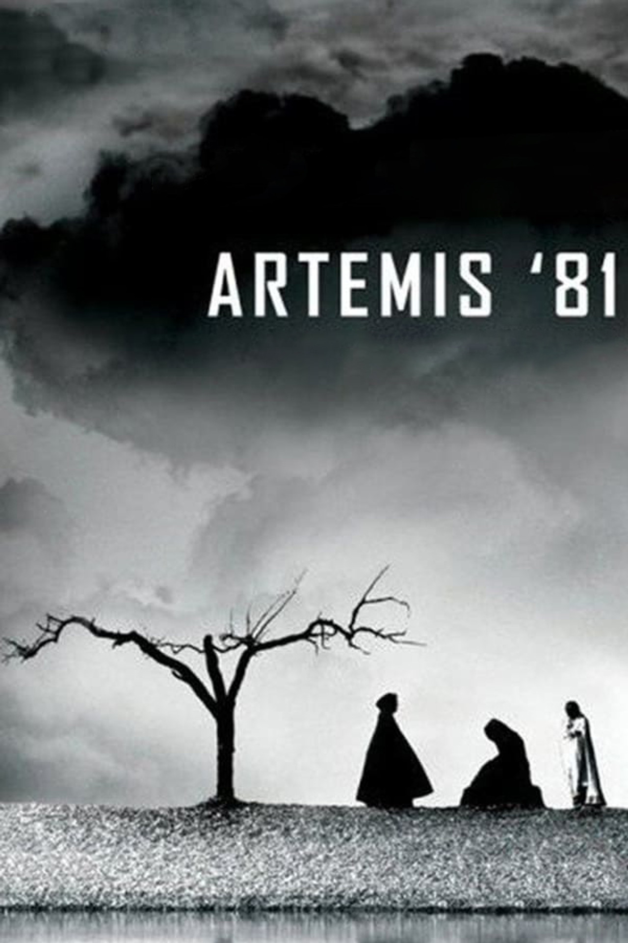 Pôster de Artemis '81