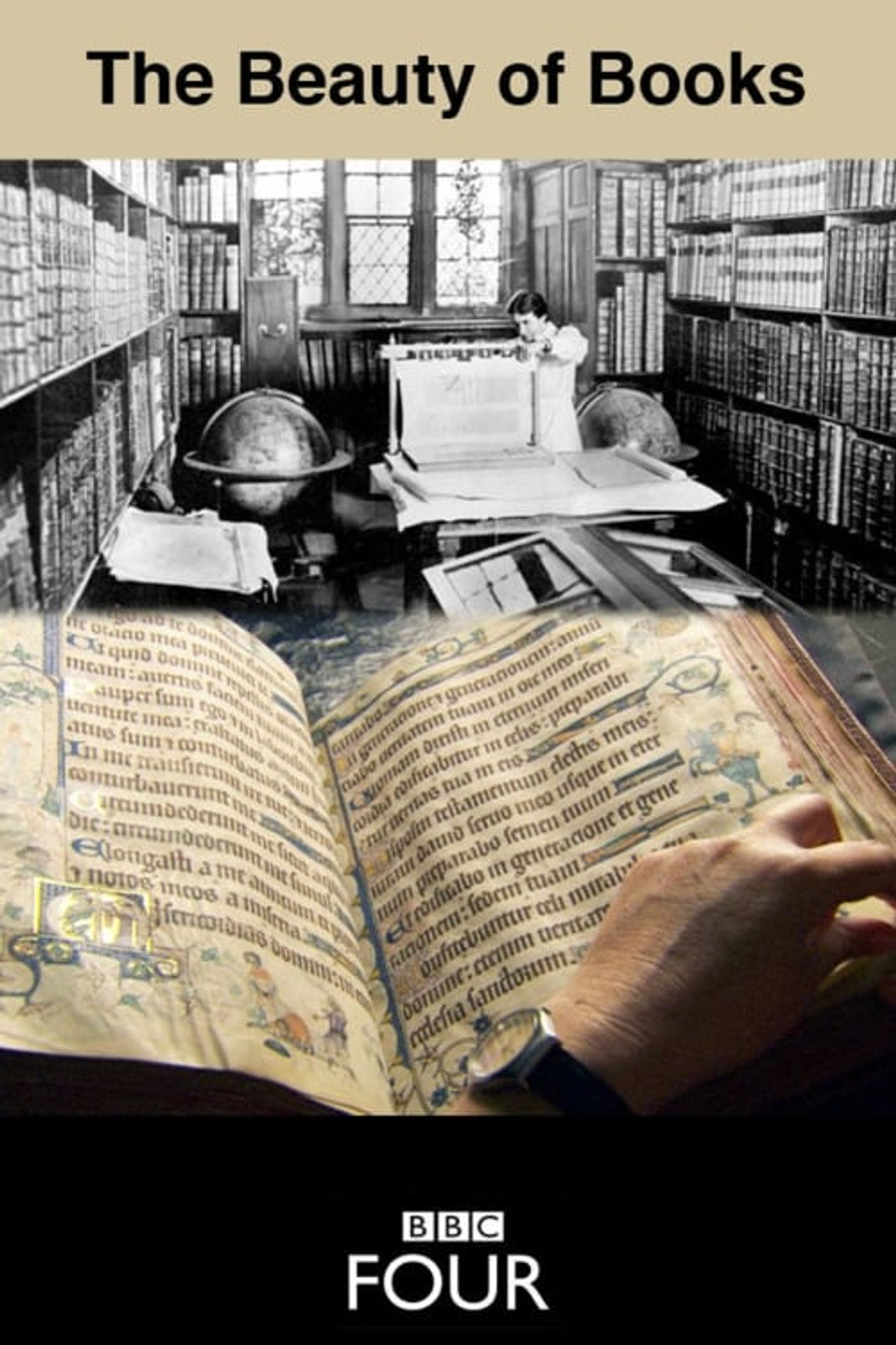 Pôster de The Beauty of Books