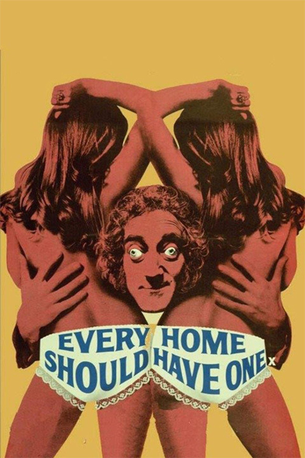 Pôster de Every Home Should Have One