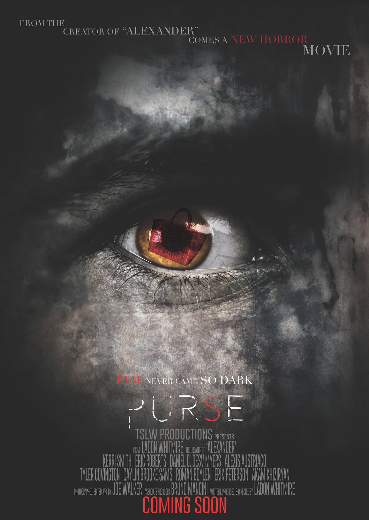 Pôster de Purse